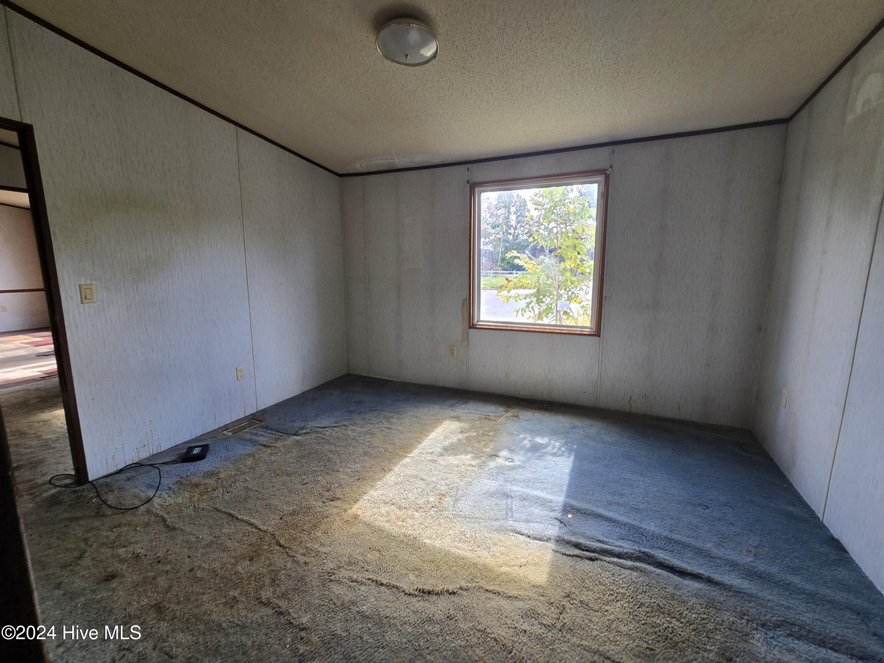 300 Horace Ward Avenue Property Photo 9