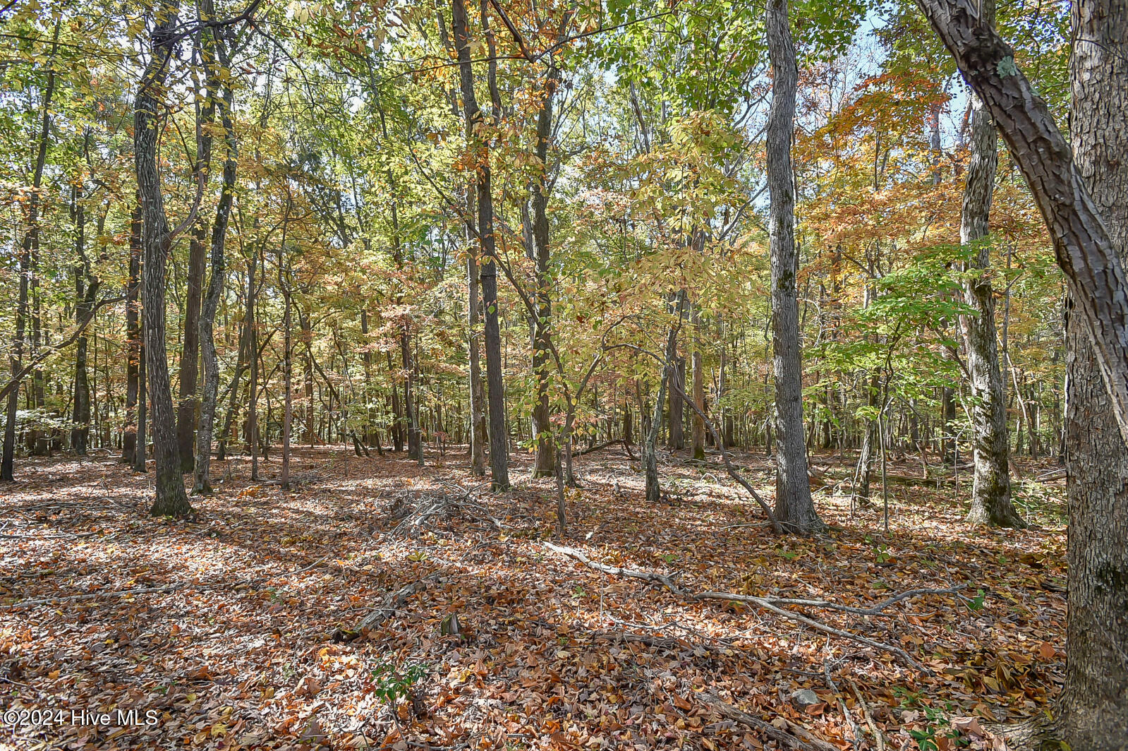 140 Norwell Lane Property Photo 20