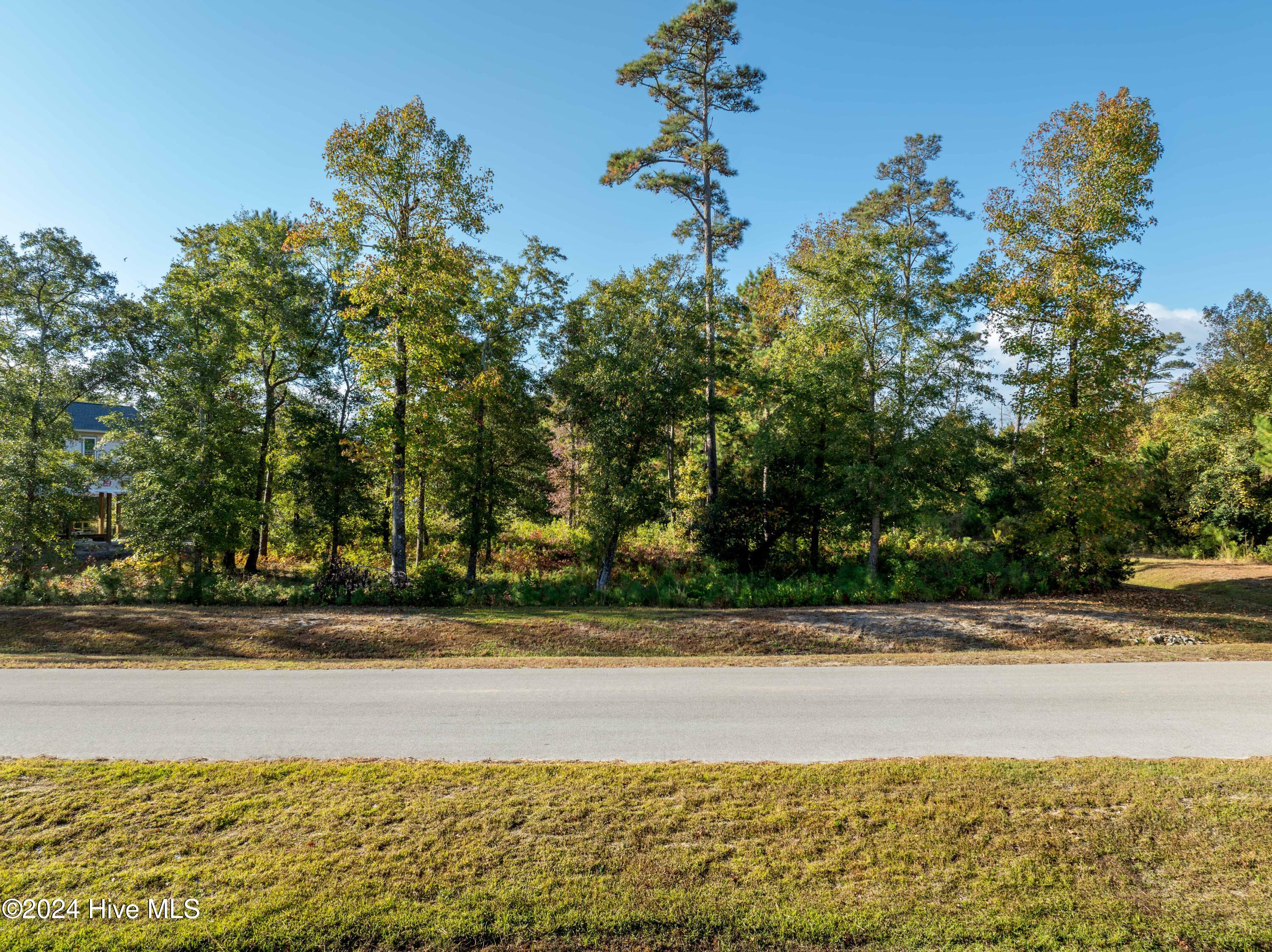 343 Landon Lane Property Photo 1
