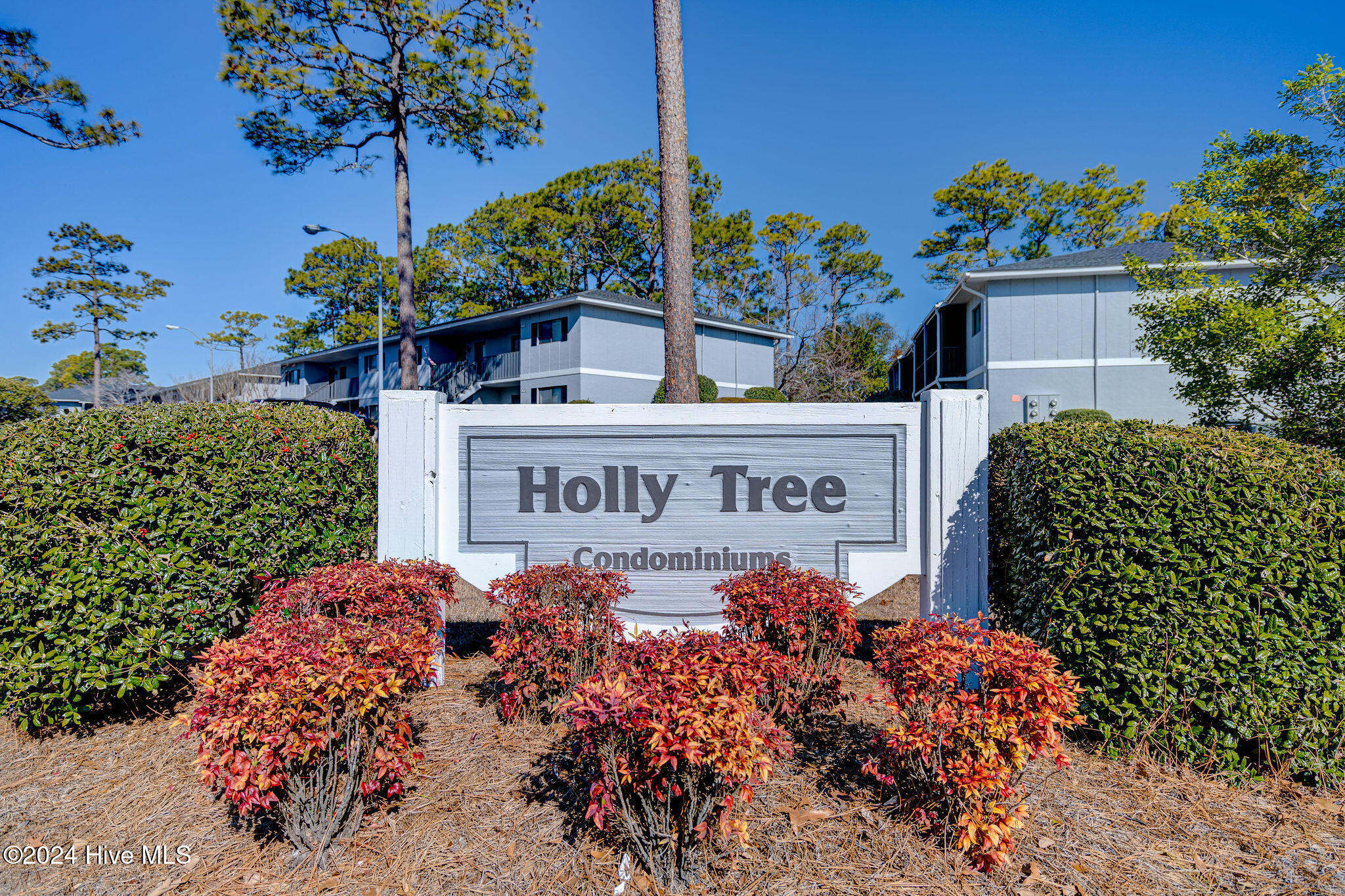 4575 Holly Tree Road Property Photo 45