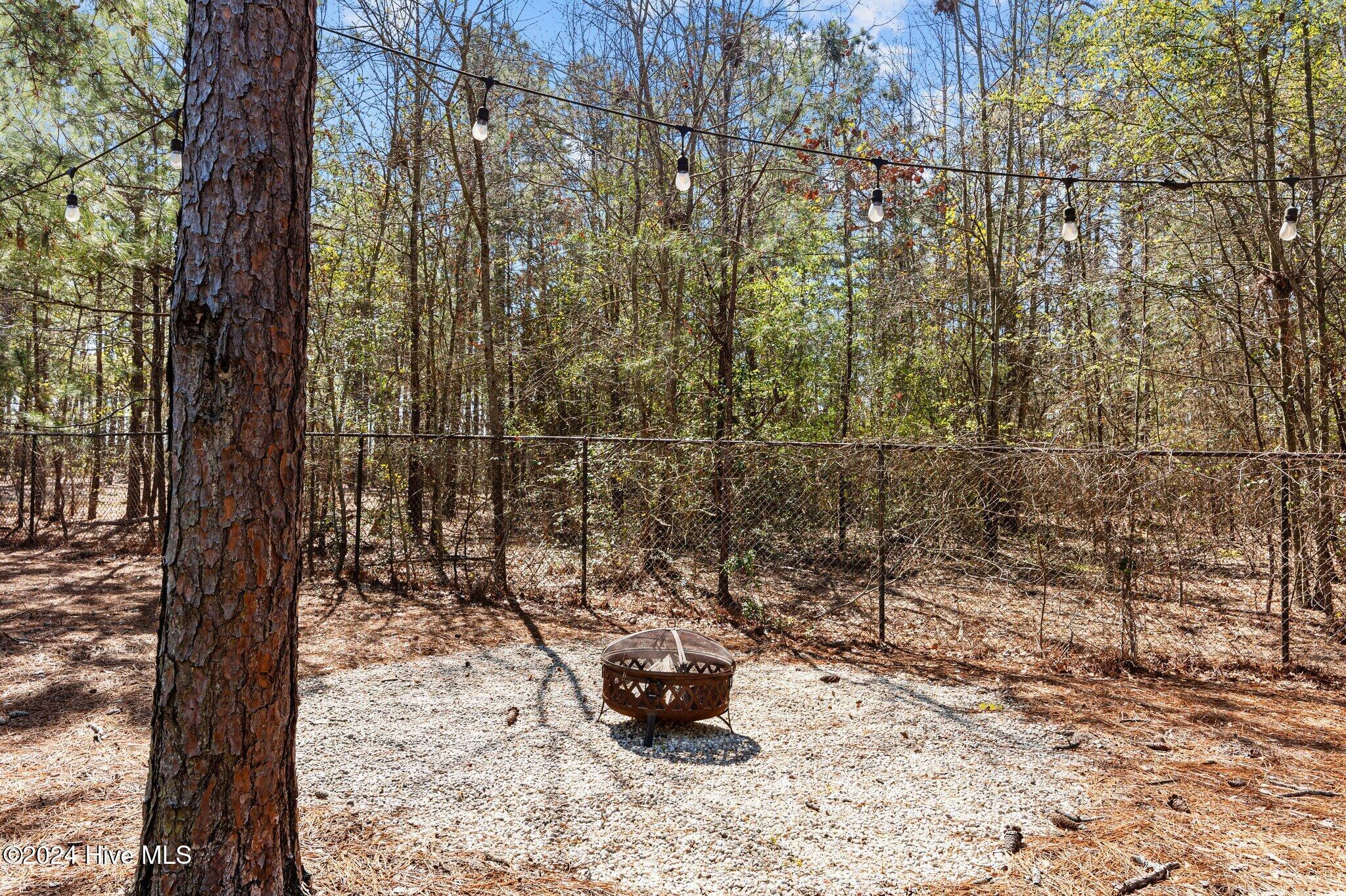280 Wiregrass Lane Property Photo 45