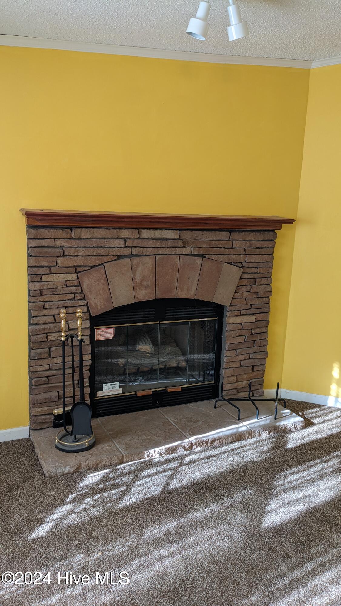102 Bladestone Place Property Photo 6