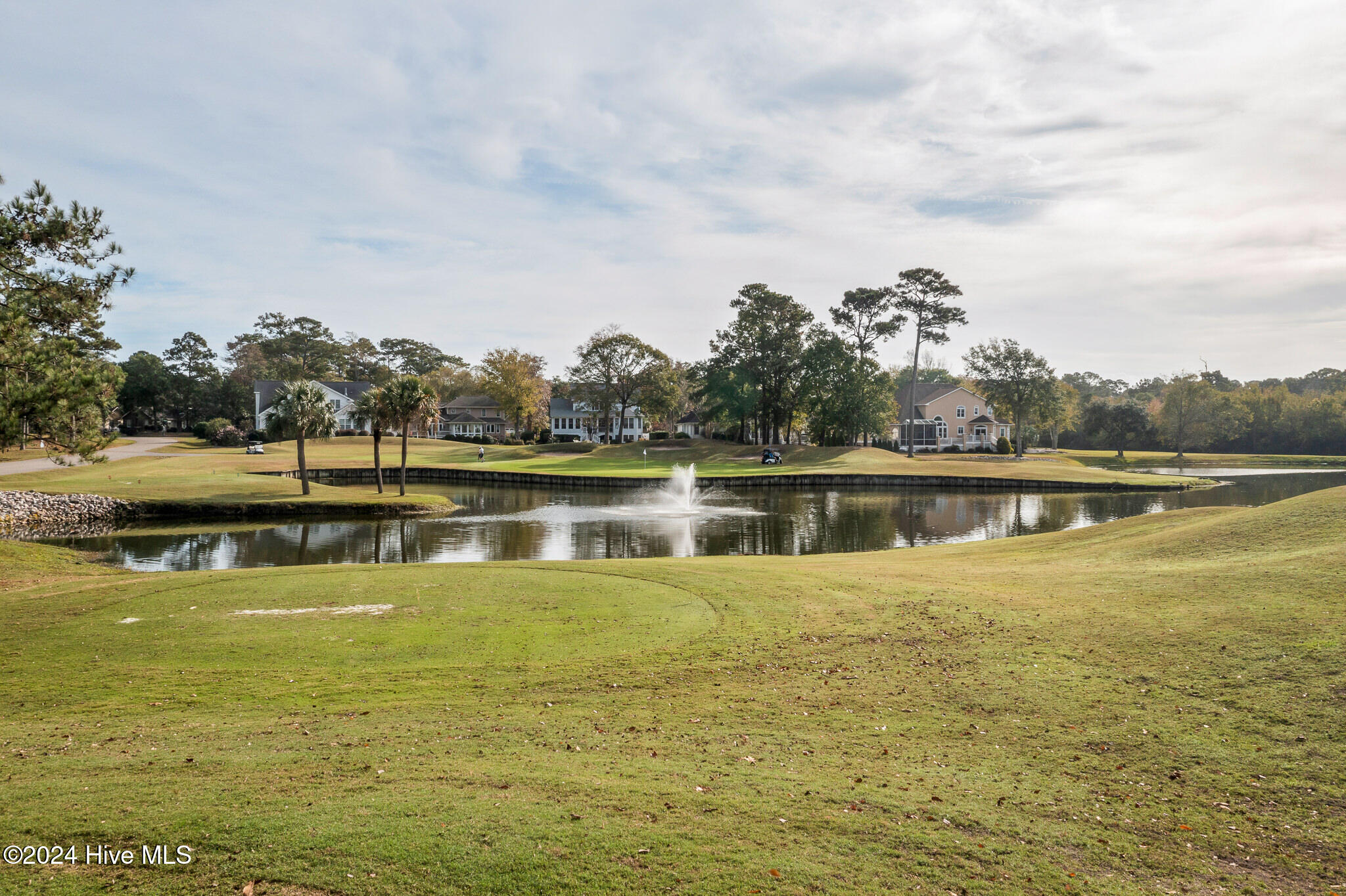 202 Jones Byrd Court Property Photo 60