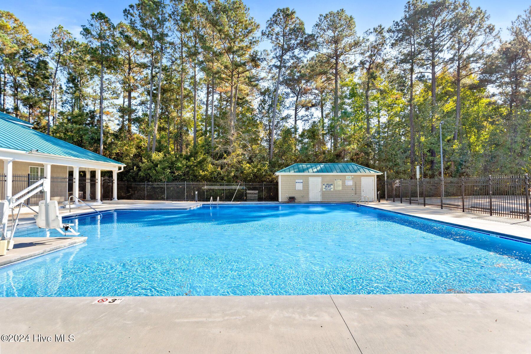102 Hills Lorough Loop Property Photo 68