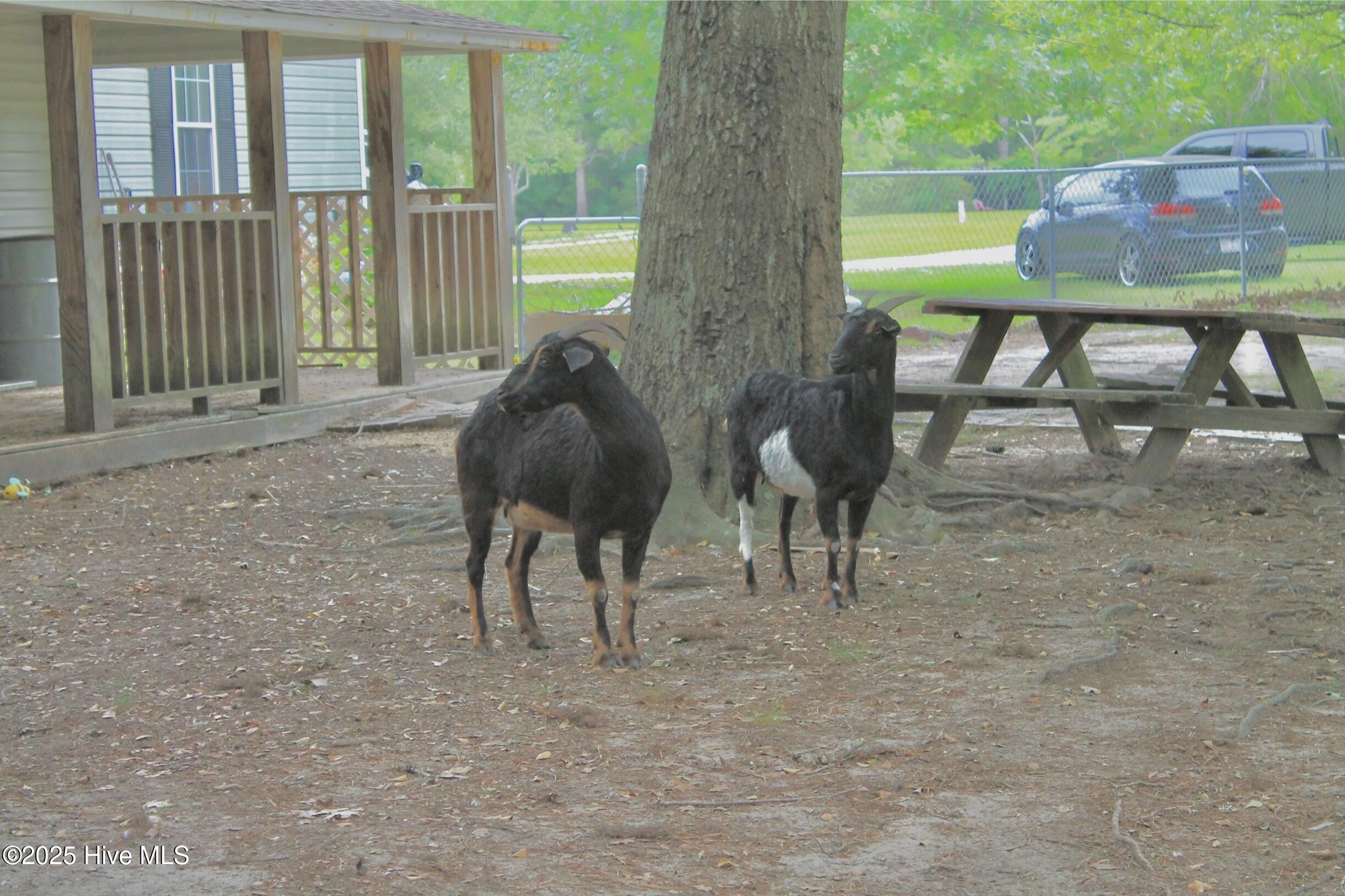 955 Mt Pisgah Road Property Photo 13
