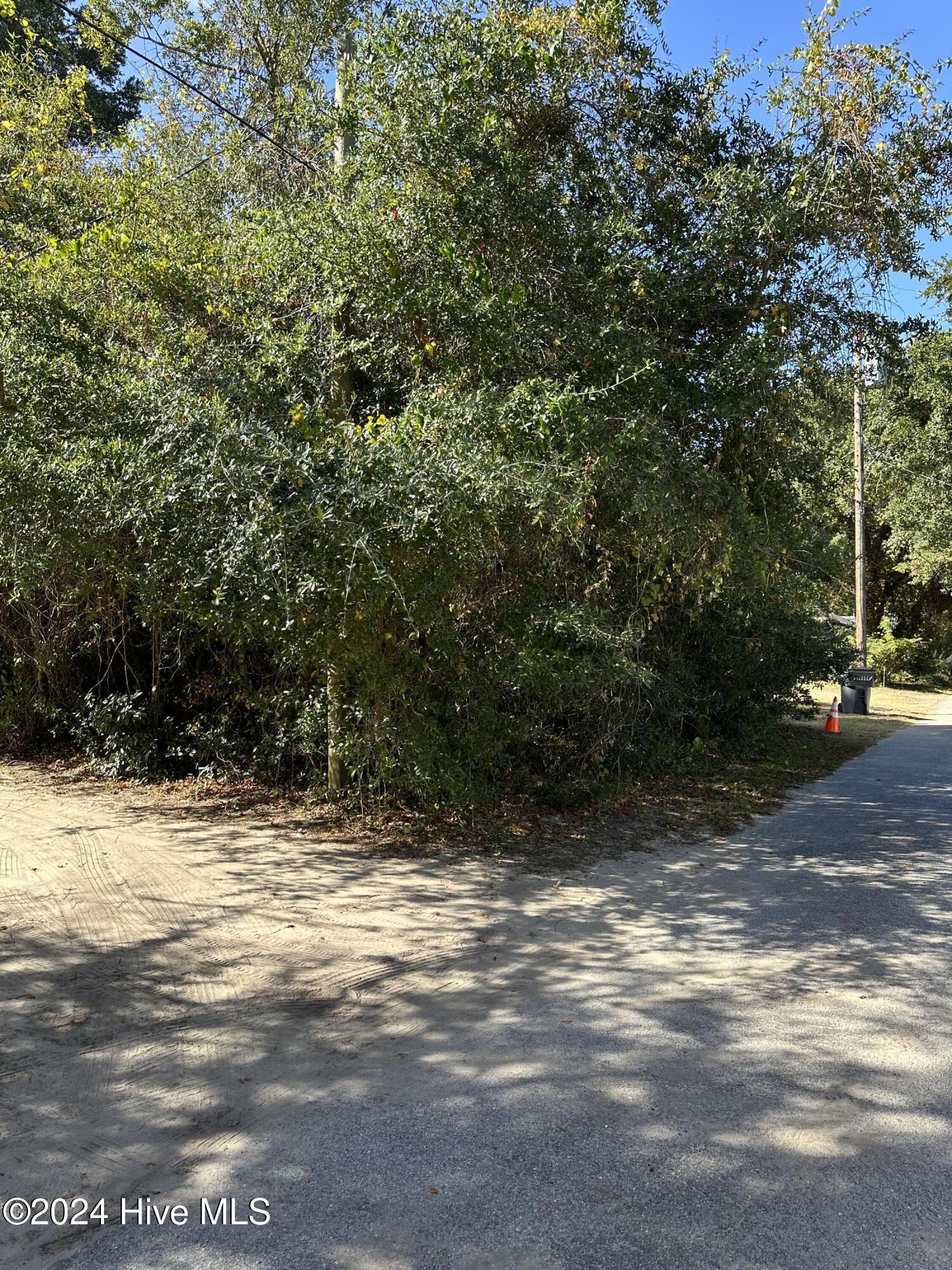 0 Hankins Drive Property Photo 1