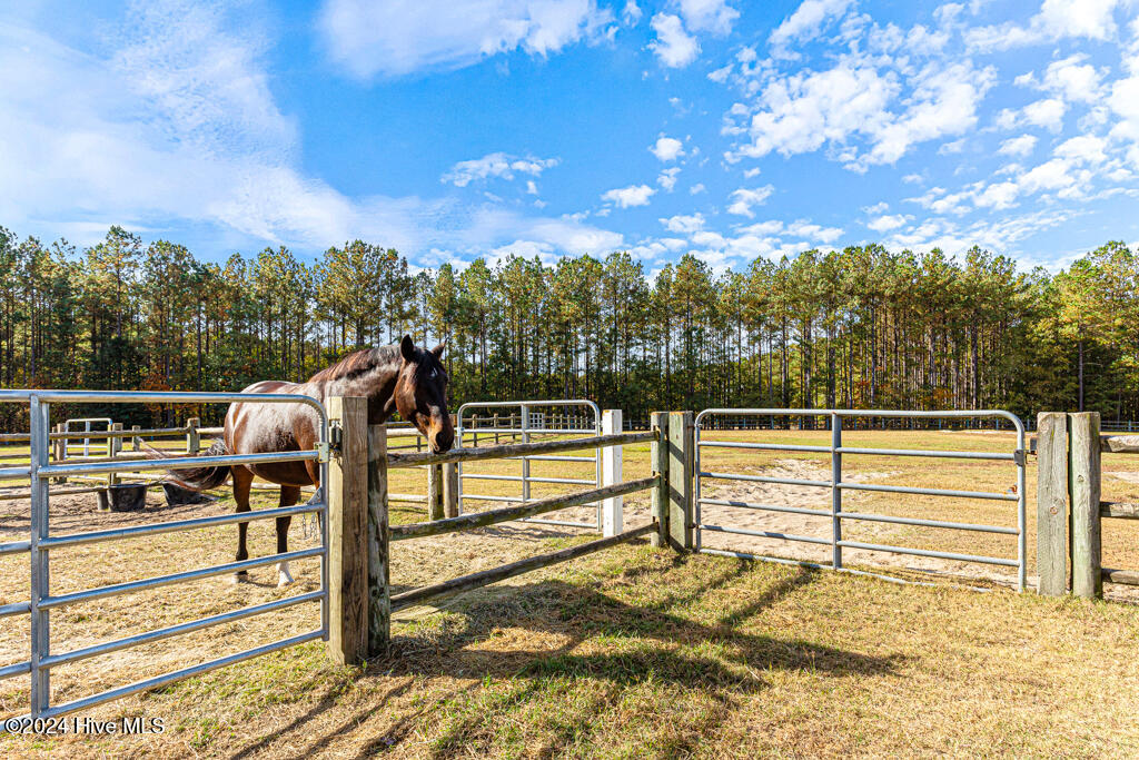 154 Horizon Trail Property Photo 57