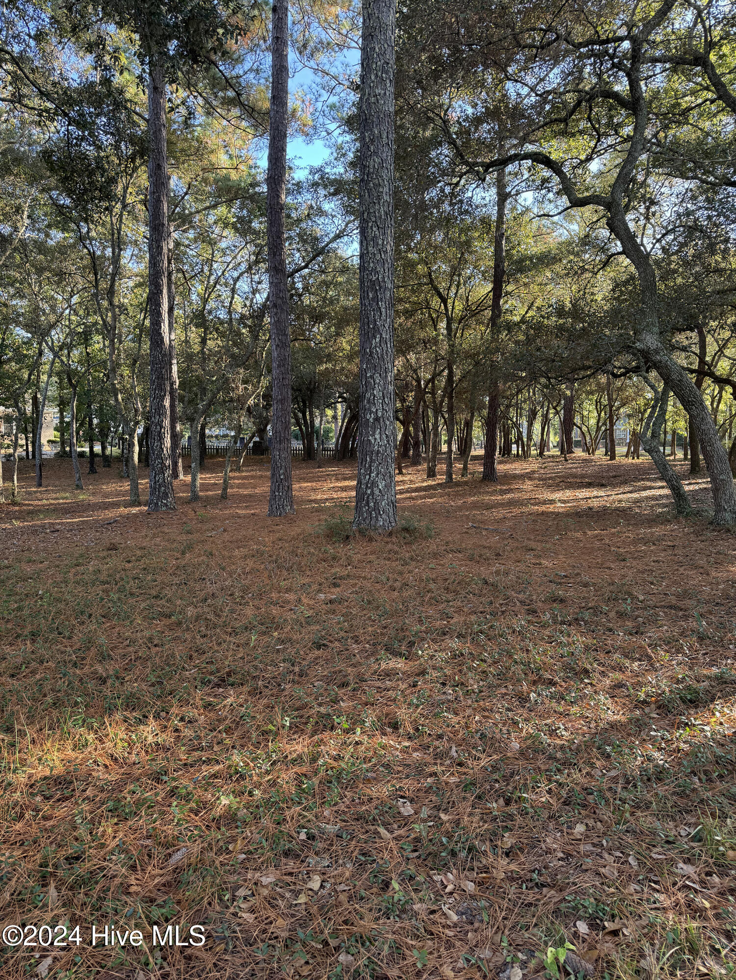 537 Longfellow Place Property Photo 2