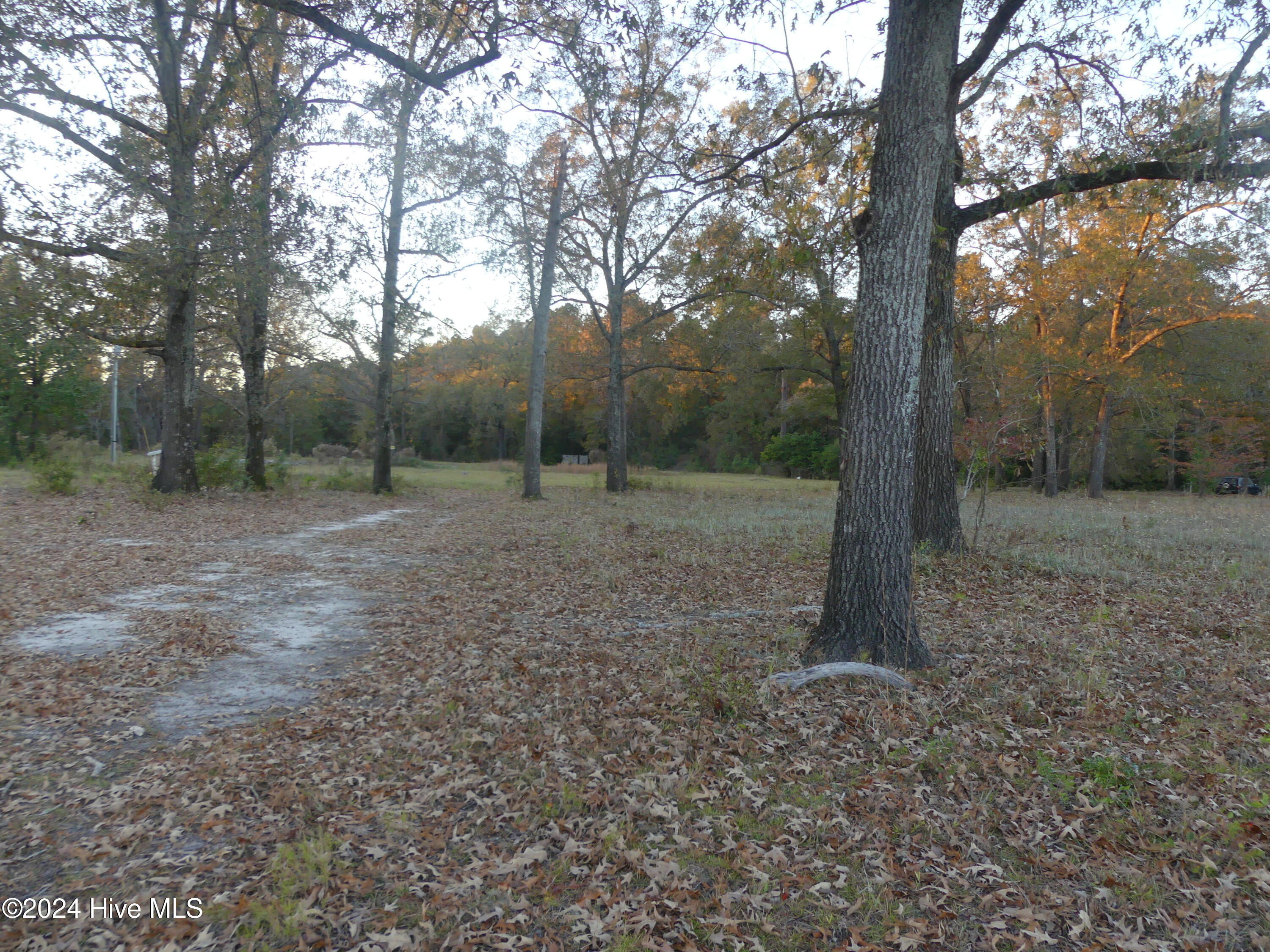 16772 Nc Highway 210 Property Photo