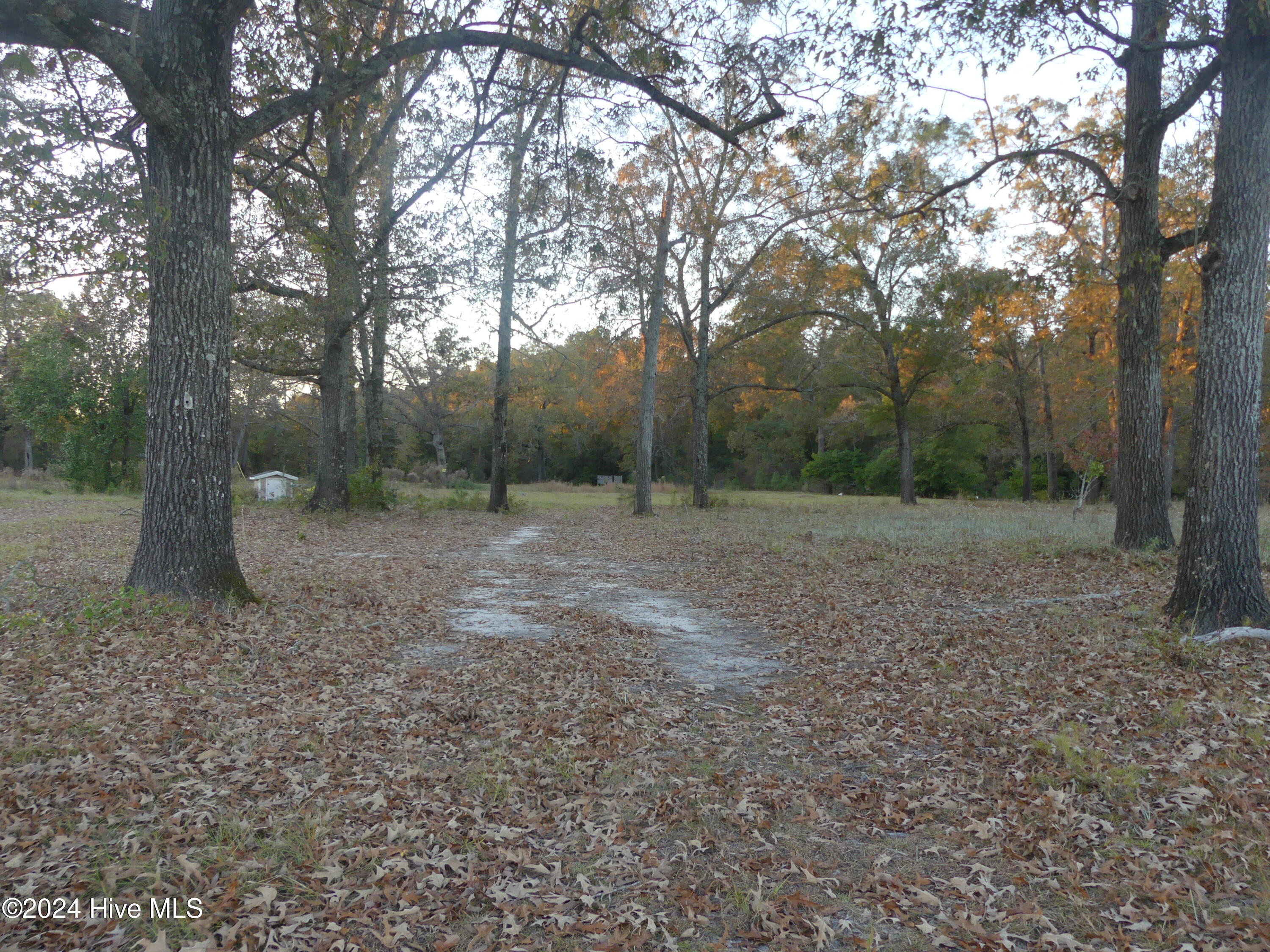 16772 Nc Highway 210 Property Photo 2