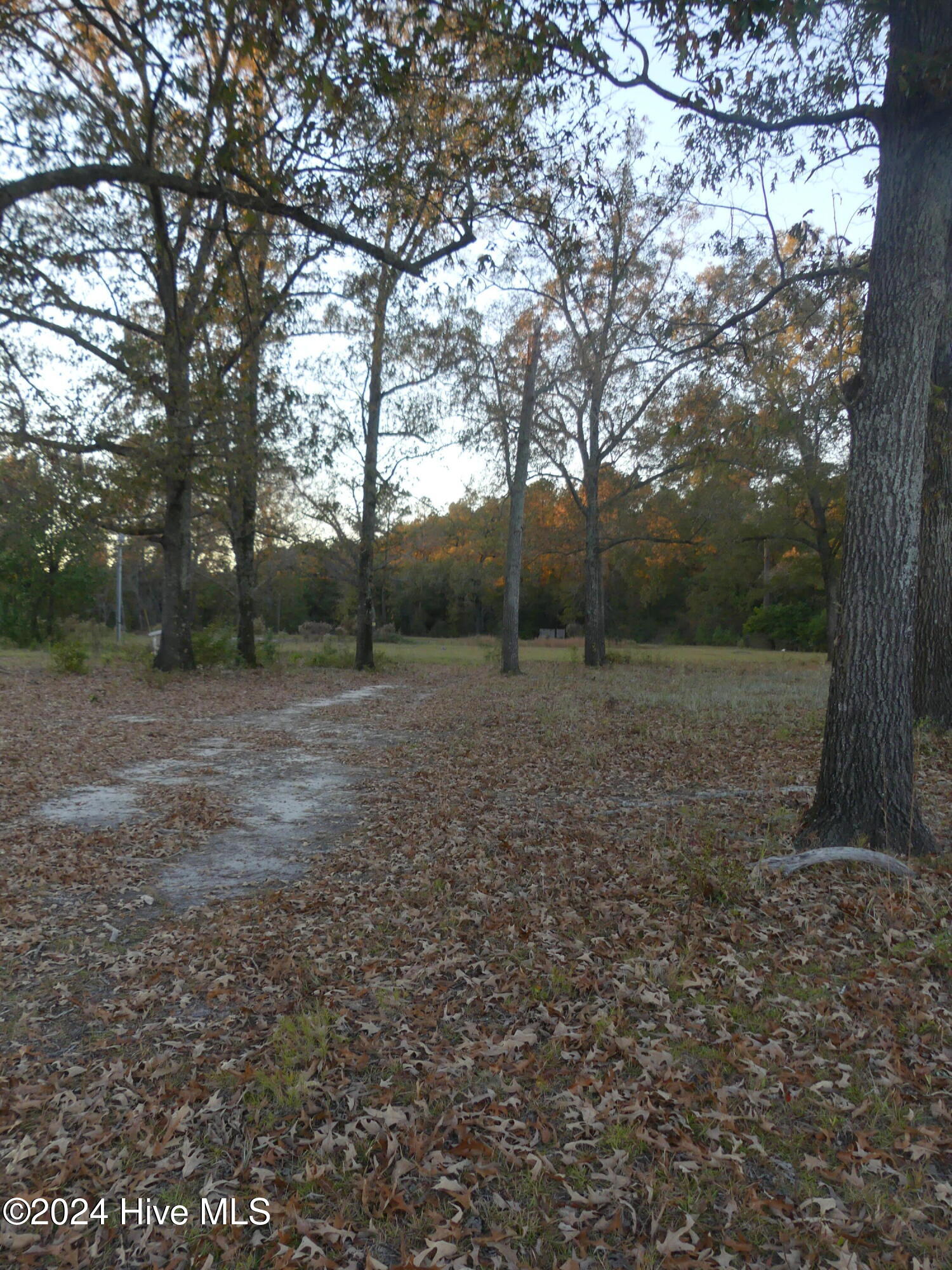 16772 Nc Highway 210 Property Photo 3