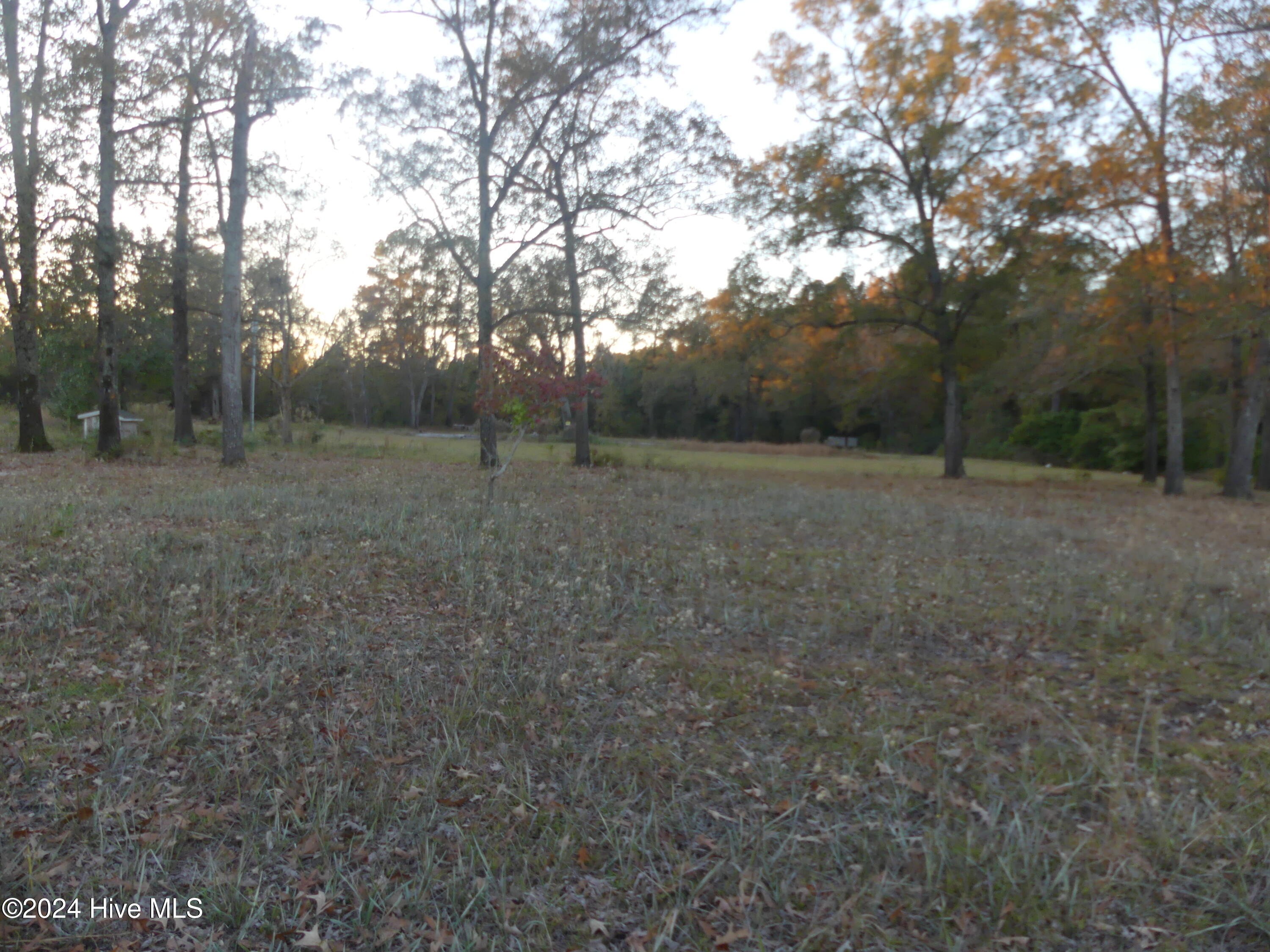 16772 Nc Highway 210 Property Photo 4