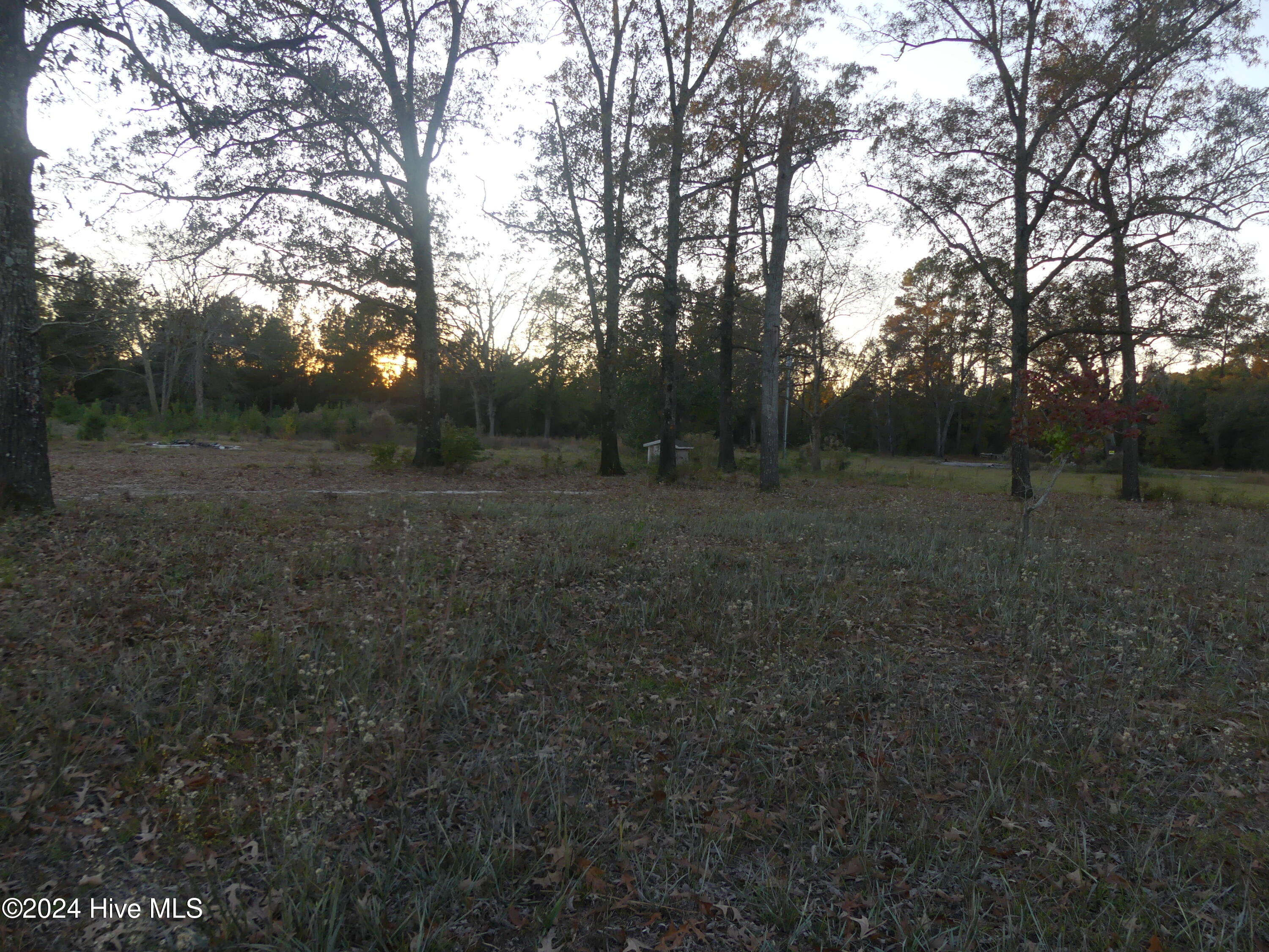 16772 Nc Highway 210 Property Photo 5