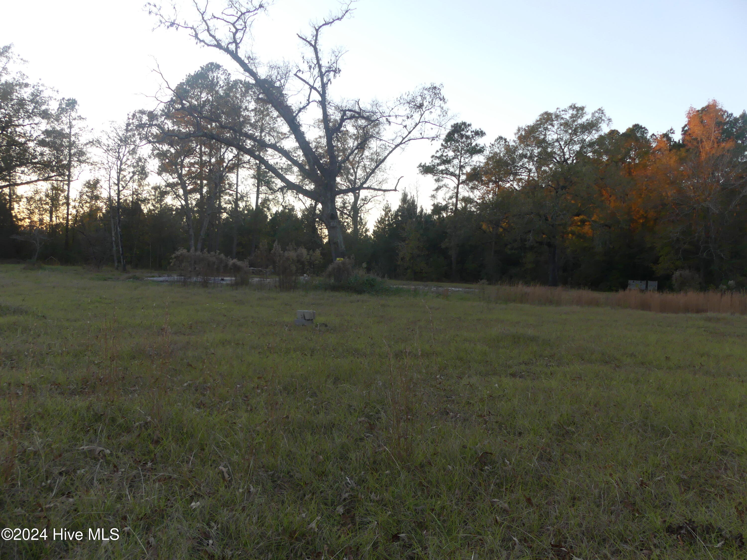 16772 Nc Highway 210 Property Photo 6