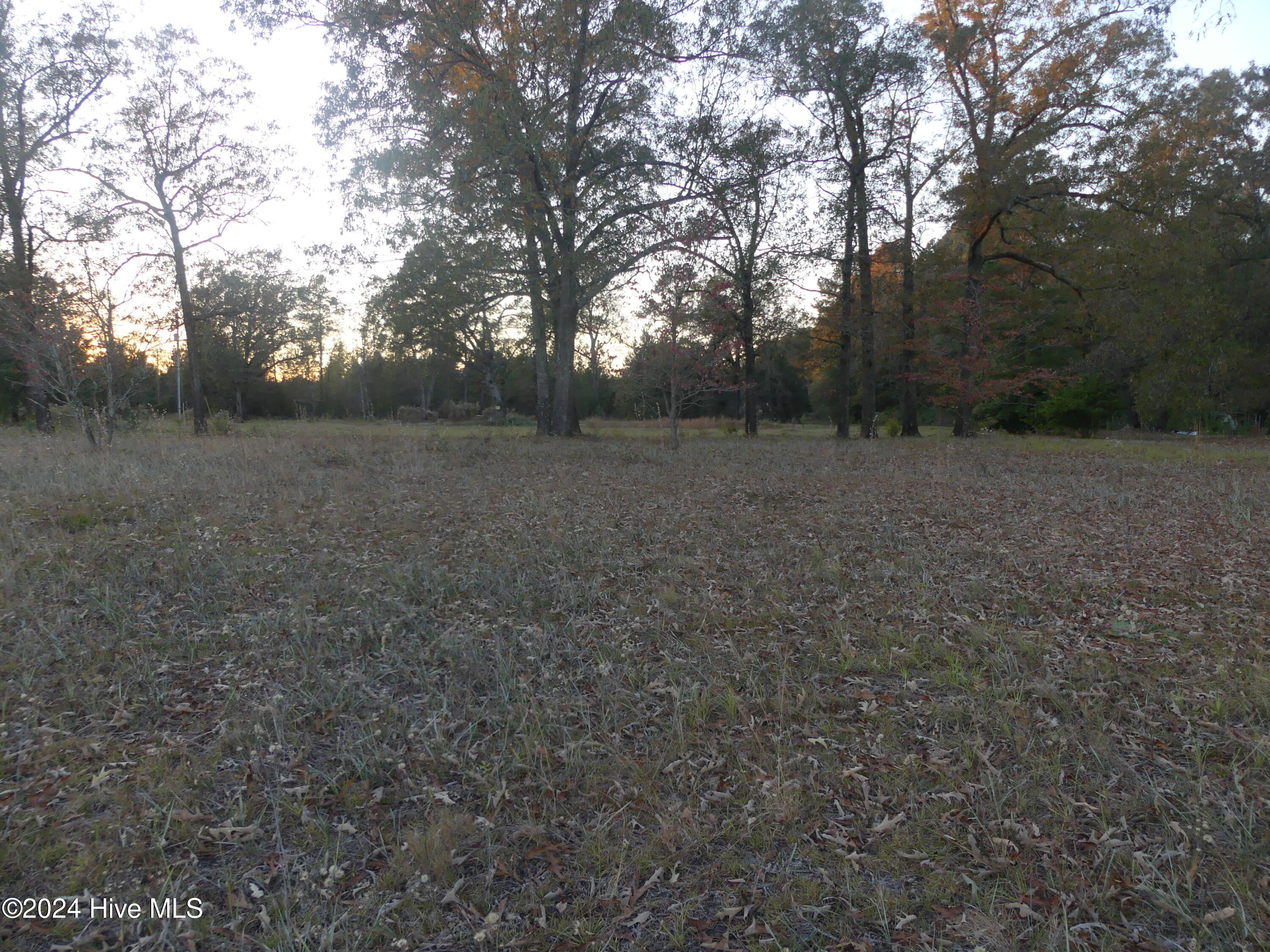 16772 Nc Highway 210 Property Photo 7