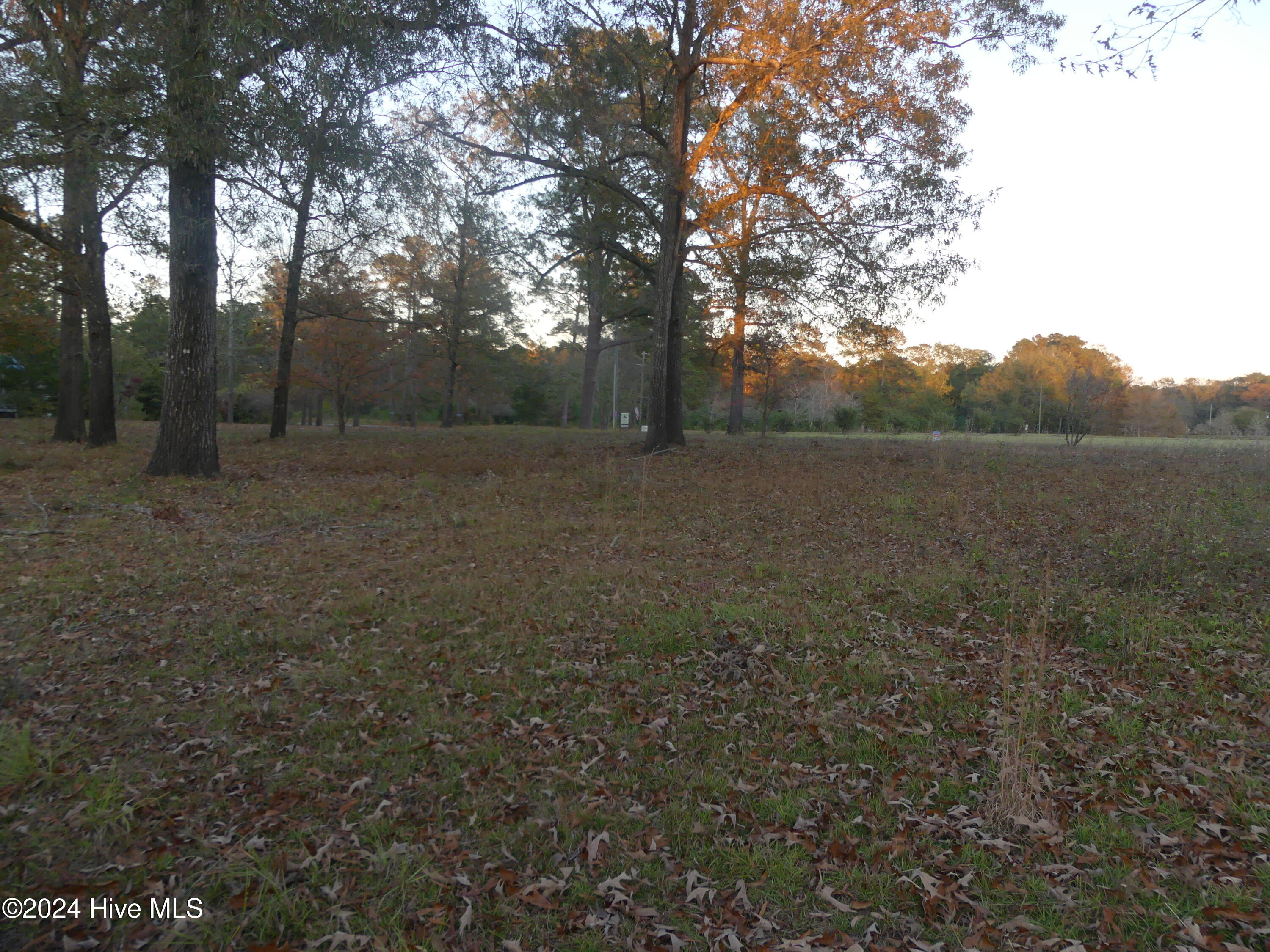16772 Nc Highway 210 Property Photo 8