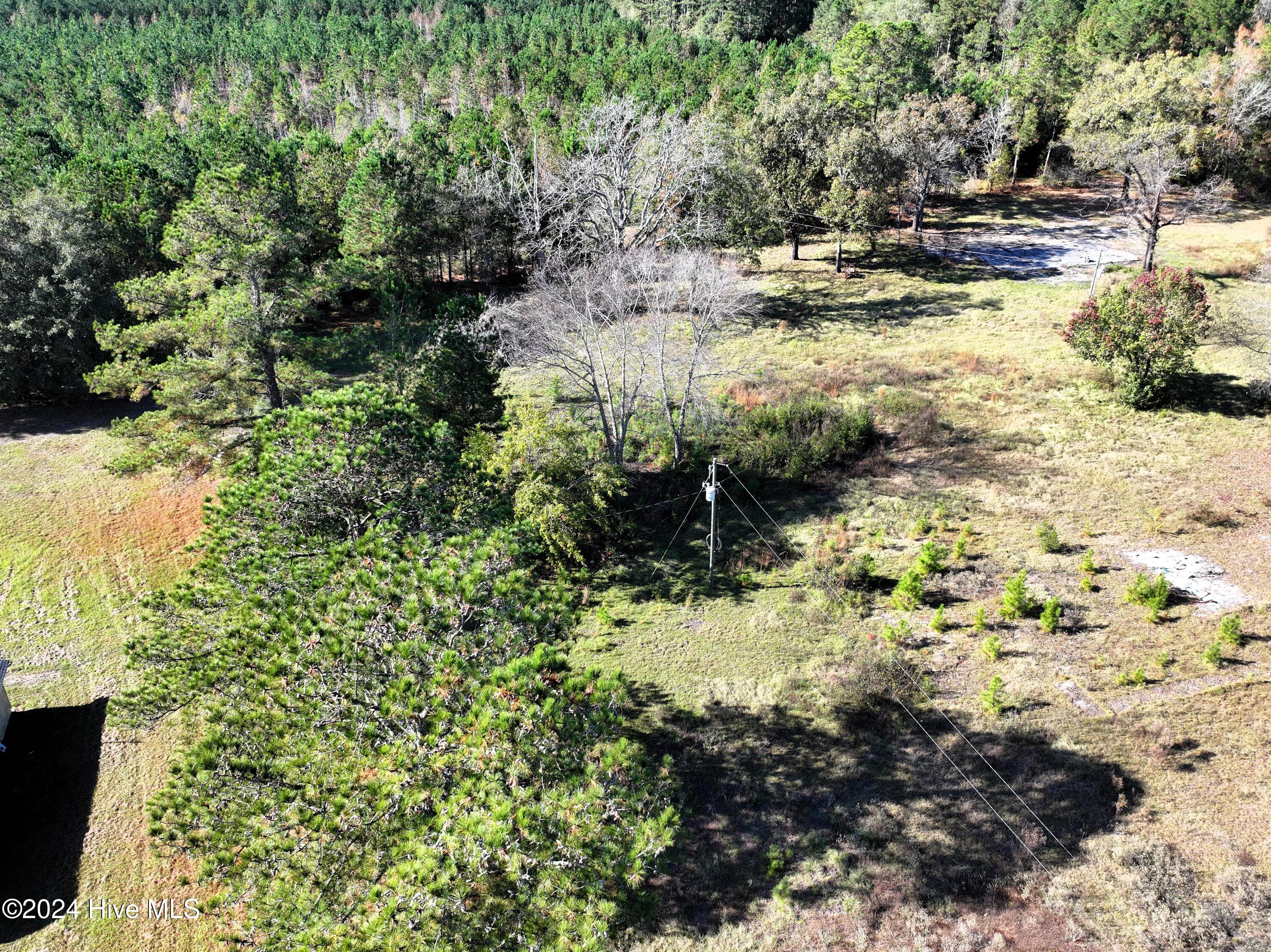 16772 Nc Highway 210 Property Photo 11