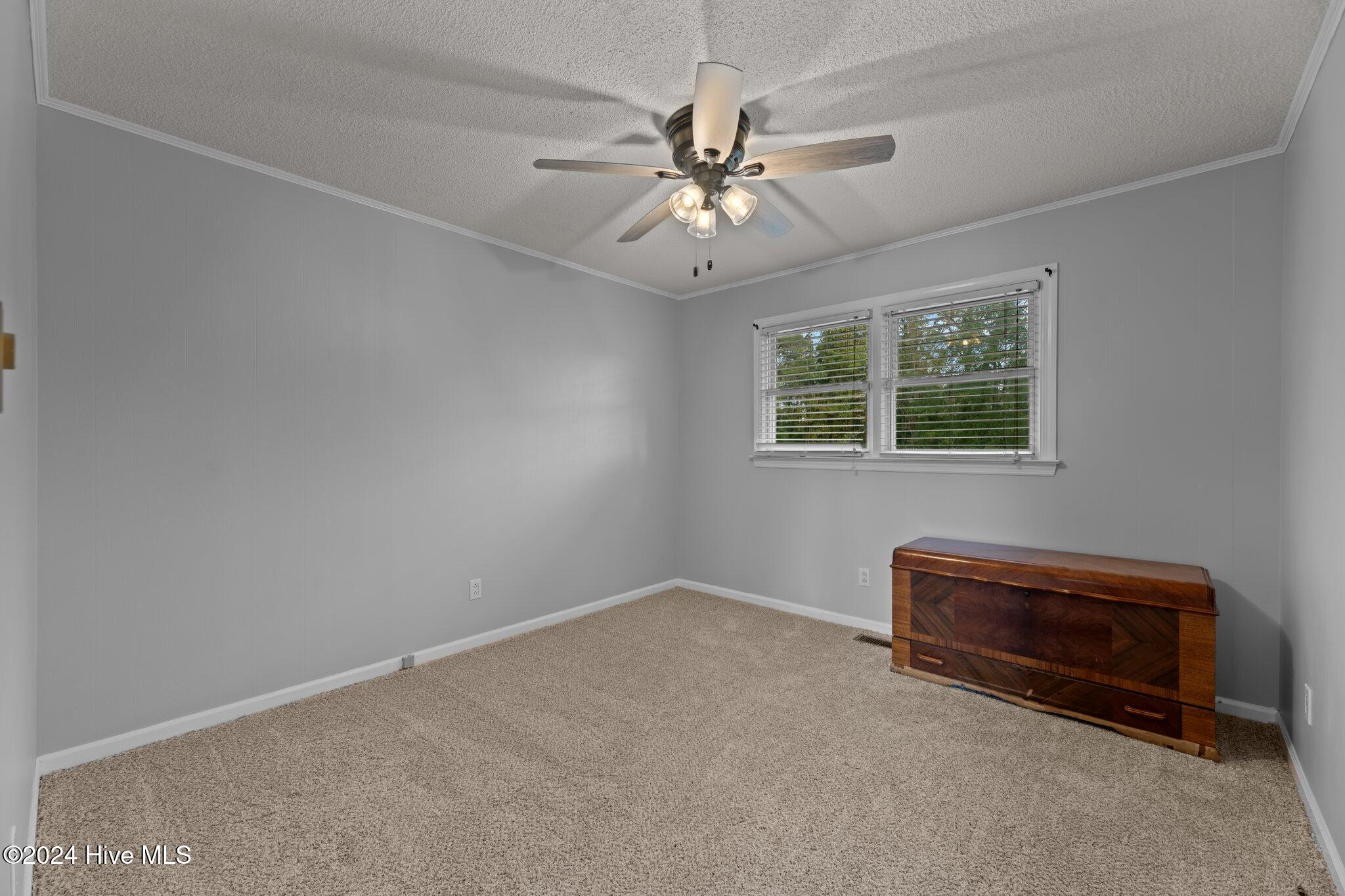 133 Mill Road Property Photo 29