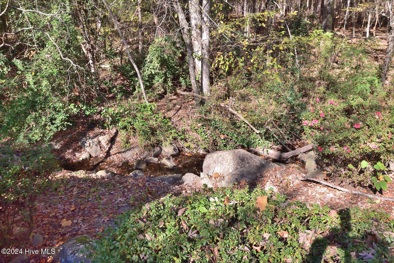 28 Winders Creek Property Photo 12