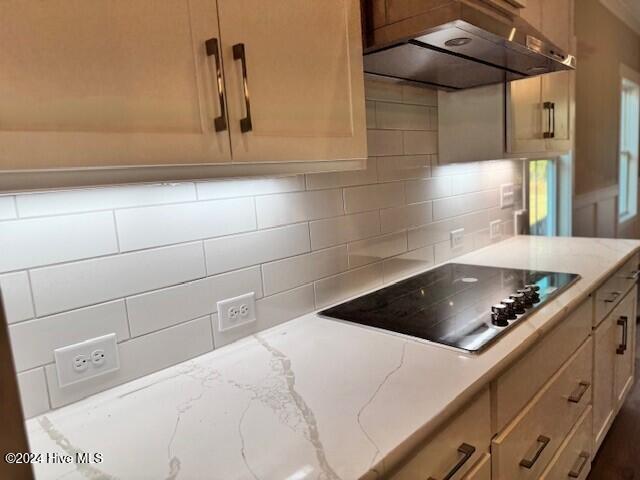 1011 Mayfair Way Property Photo 18