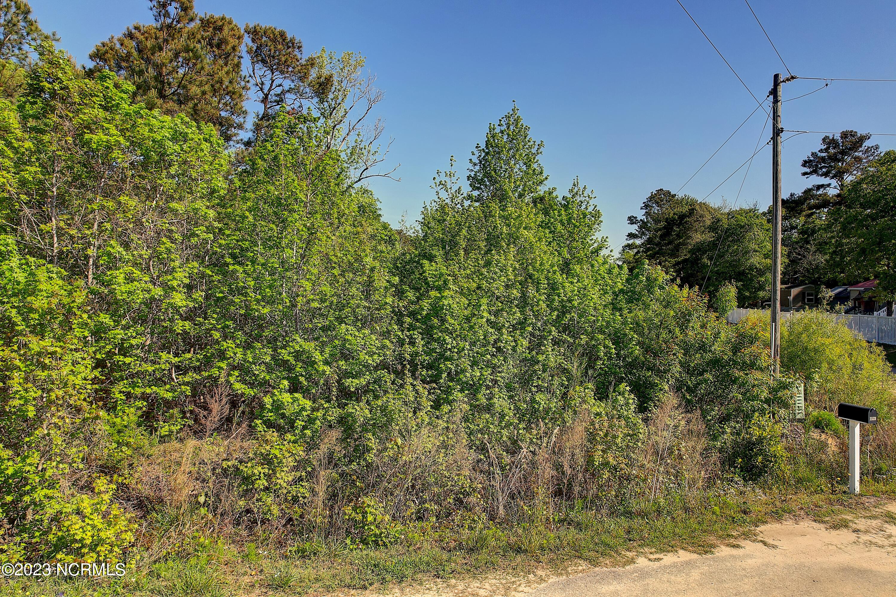 1595 Tarpon Street Property Photo 2
