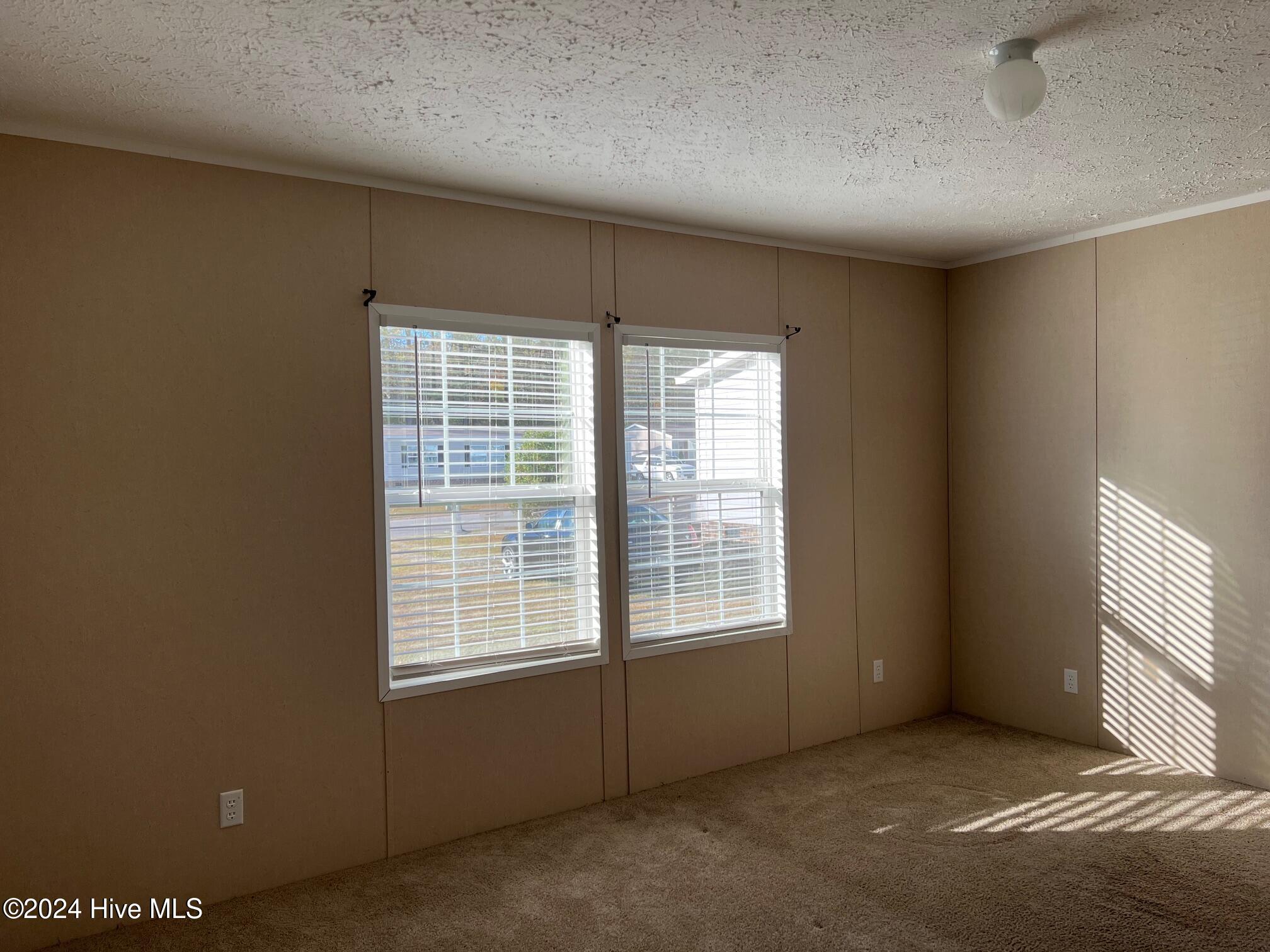 387 Hales Branch Drive Property Photo 17