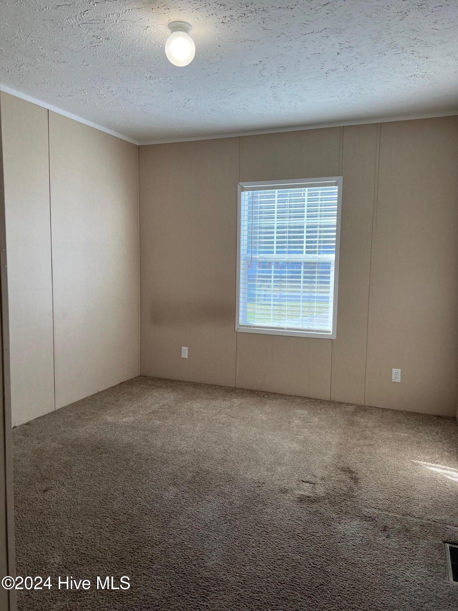 387 Hales Branch Drive Property Photo 23