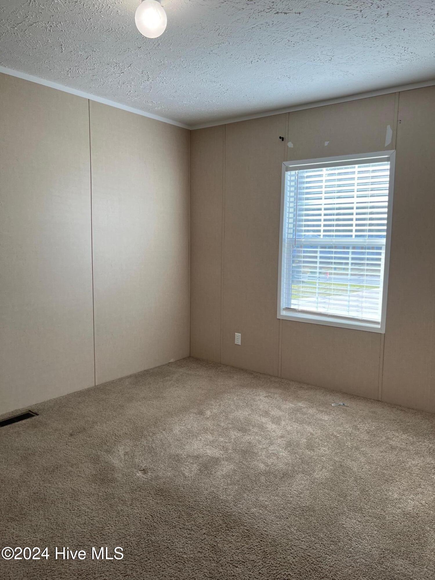 387 Hales Branch Drive Property Photo 25