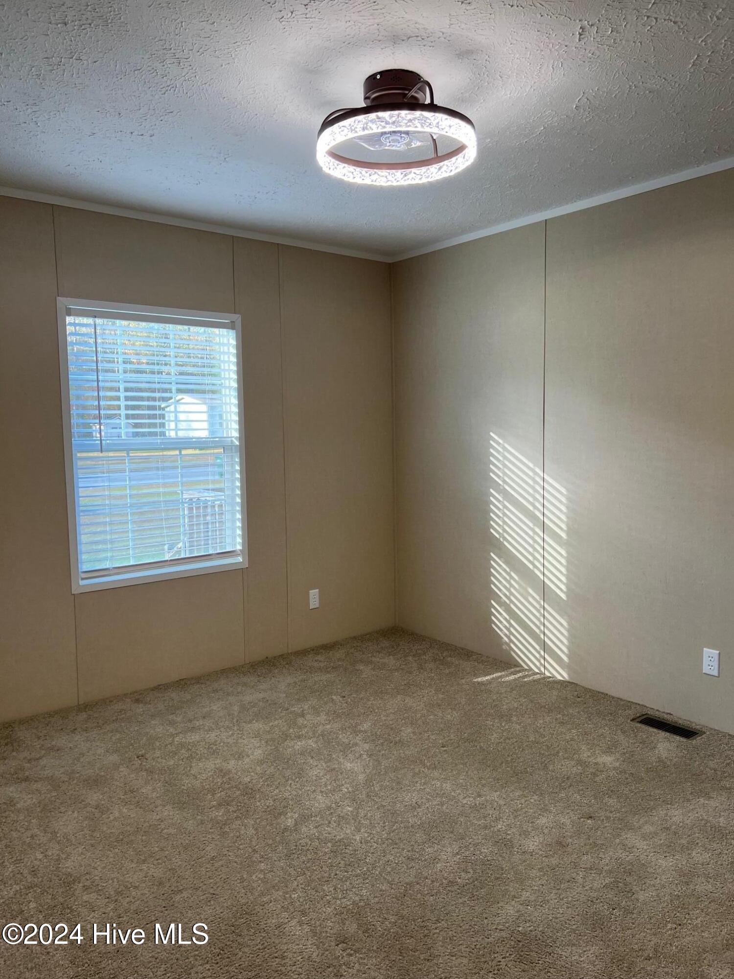 387 Hales Branch Drive Property Photo 30
