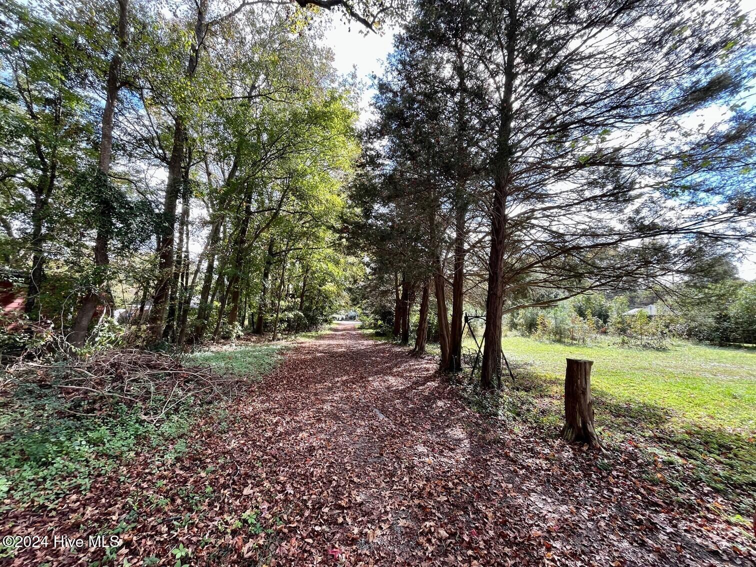 6609 Murrayville Road Property Photo 3