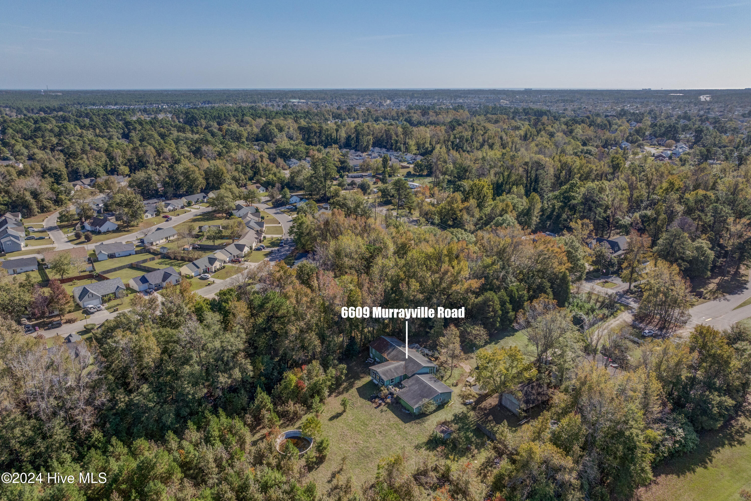 6609 Murrayville Road Property Photo 25