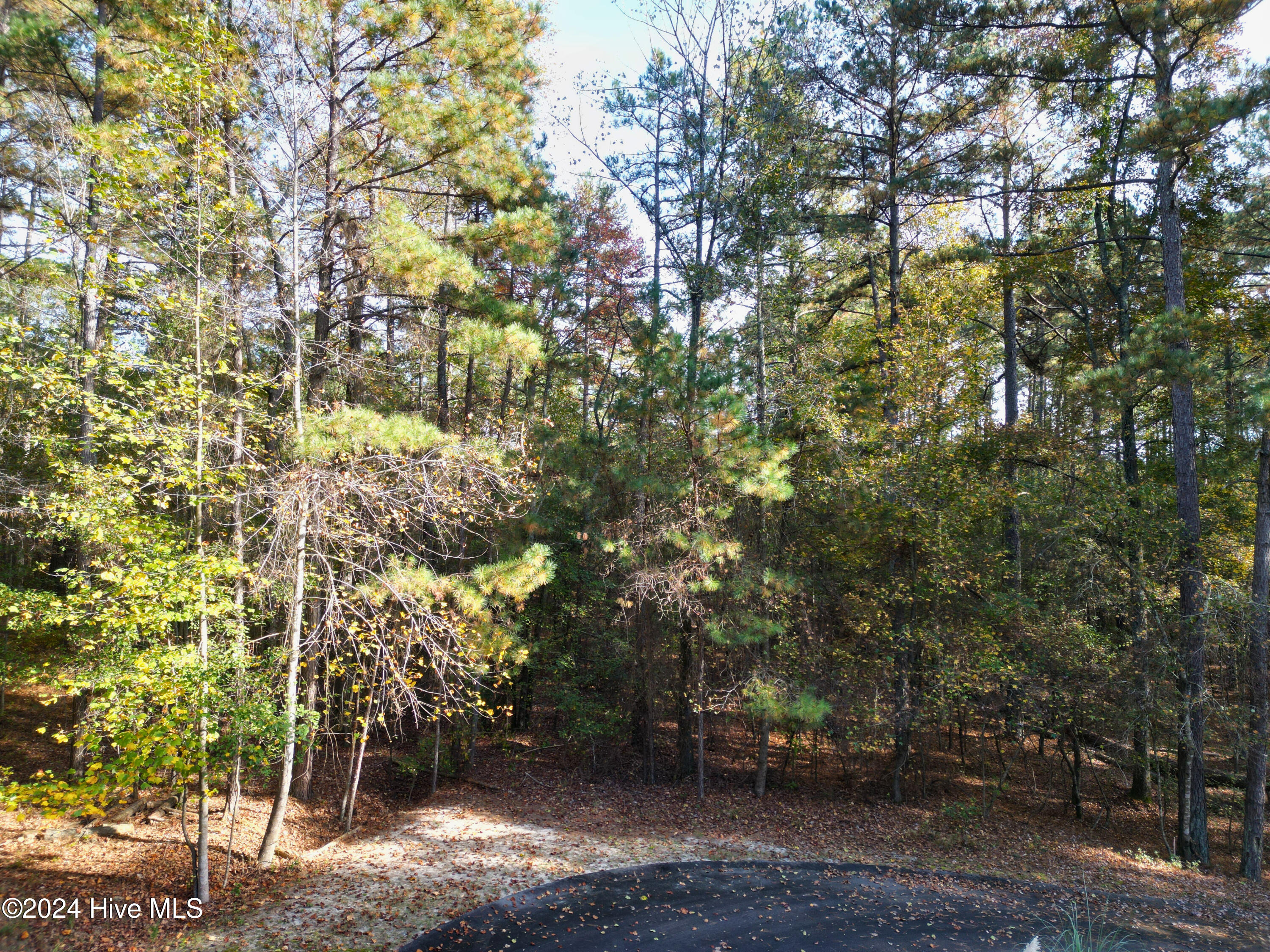 151 Cobblestone Place Property Photo 4
