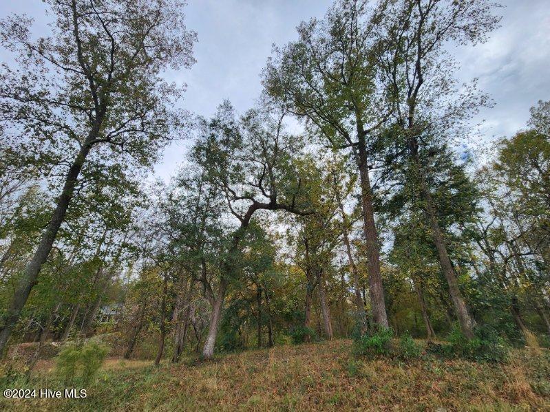871 Chair Road Property Photo 6