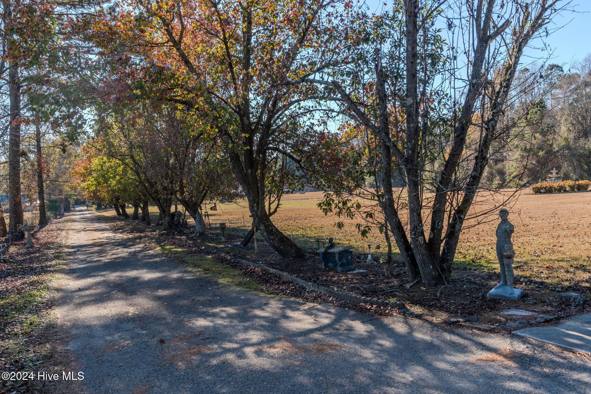 871 Pasture Branch Road Property Photo 14