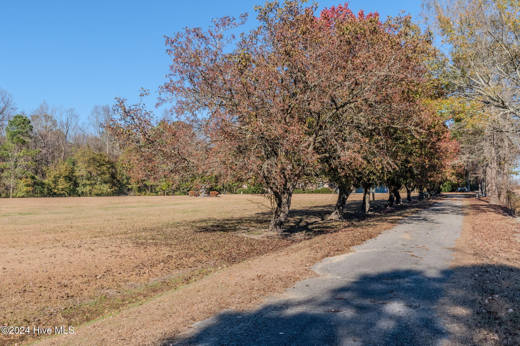 871 Pasture Branch Road Property Photo 61