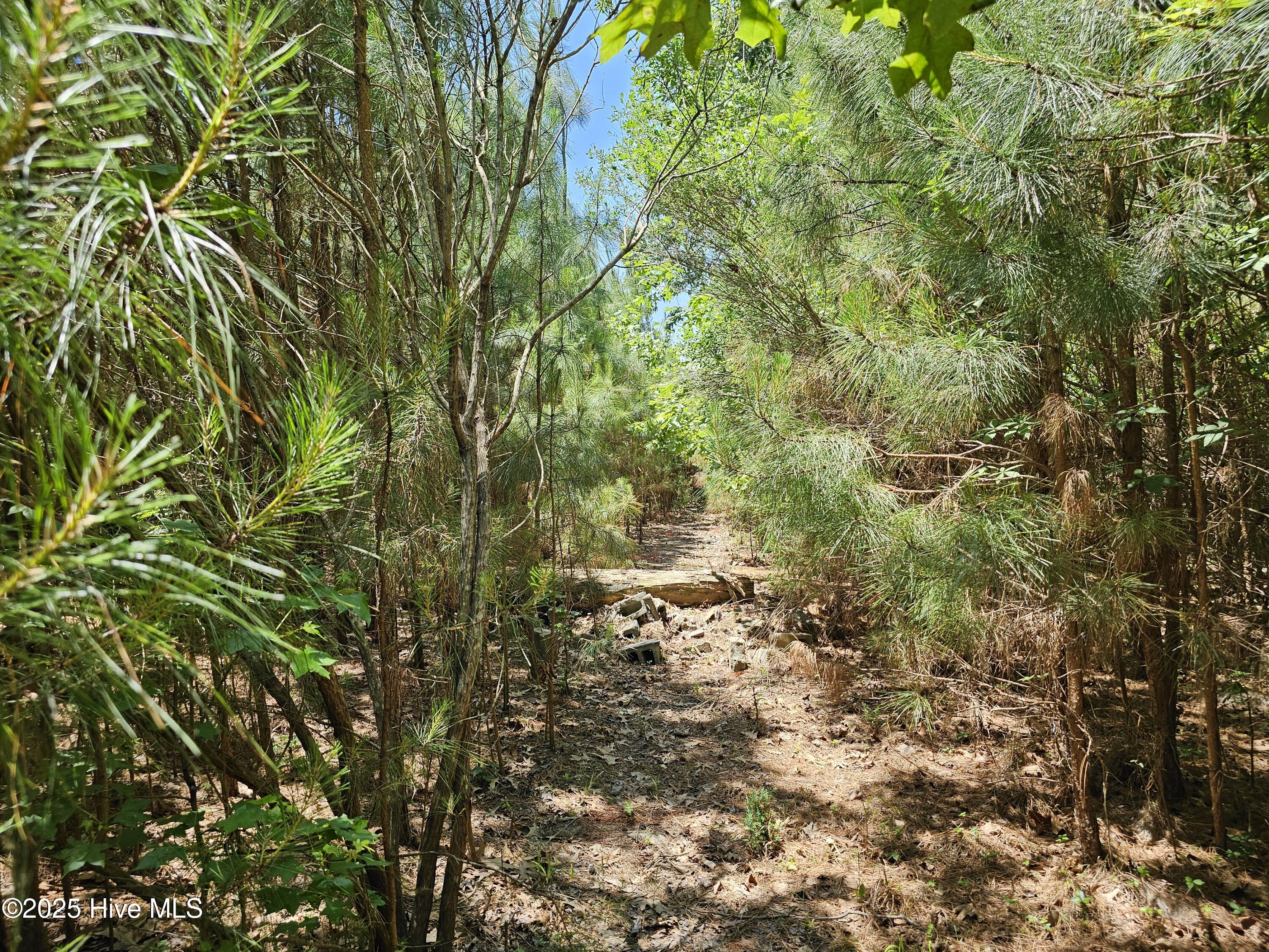 10 Peninsula Shores Way Property Photo 14