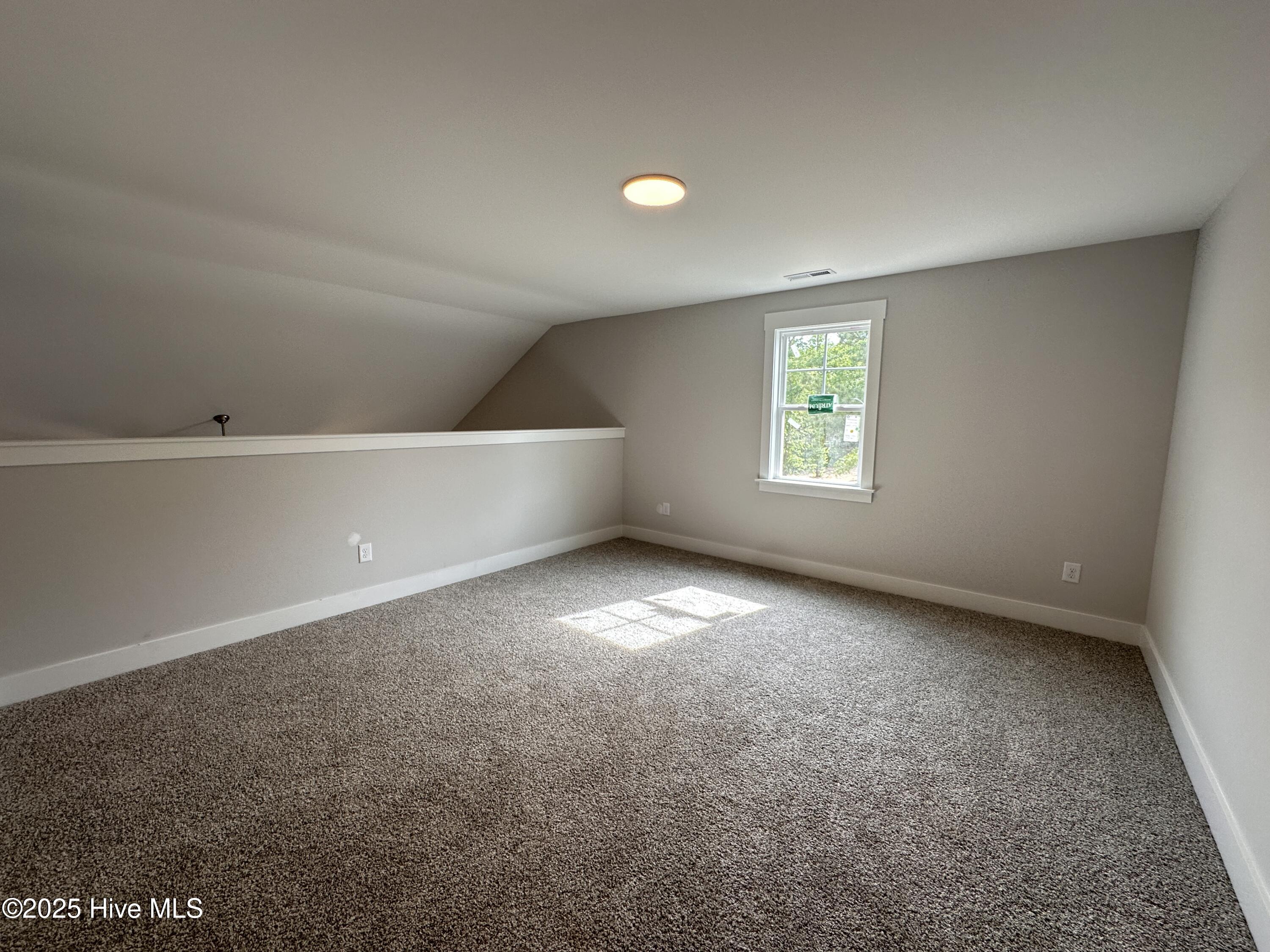 106 Roma Gora Court Property Photo 13