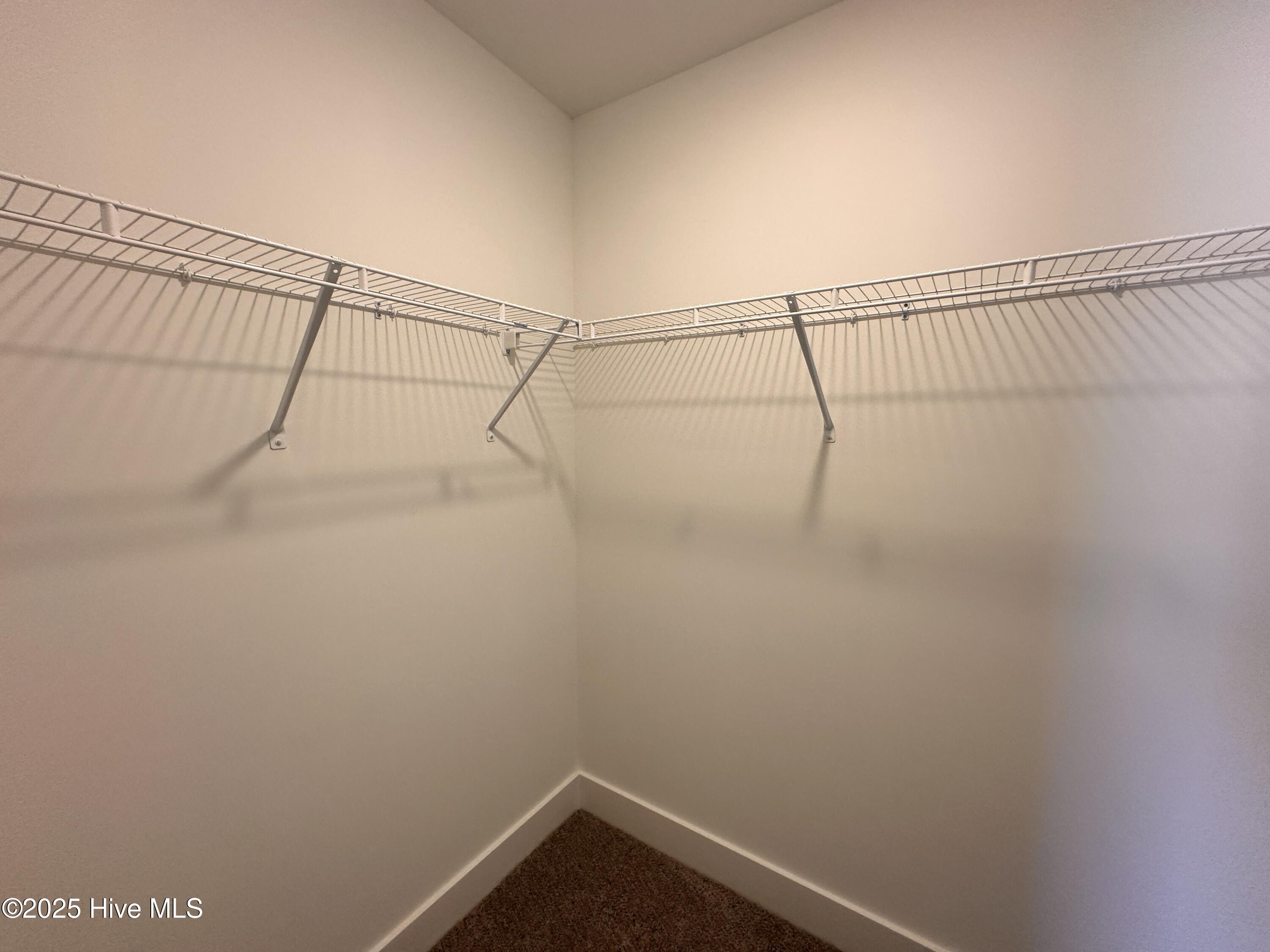 103 Roma Gora Court Property Photo 14