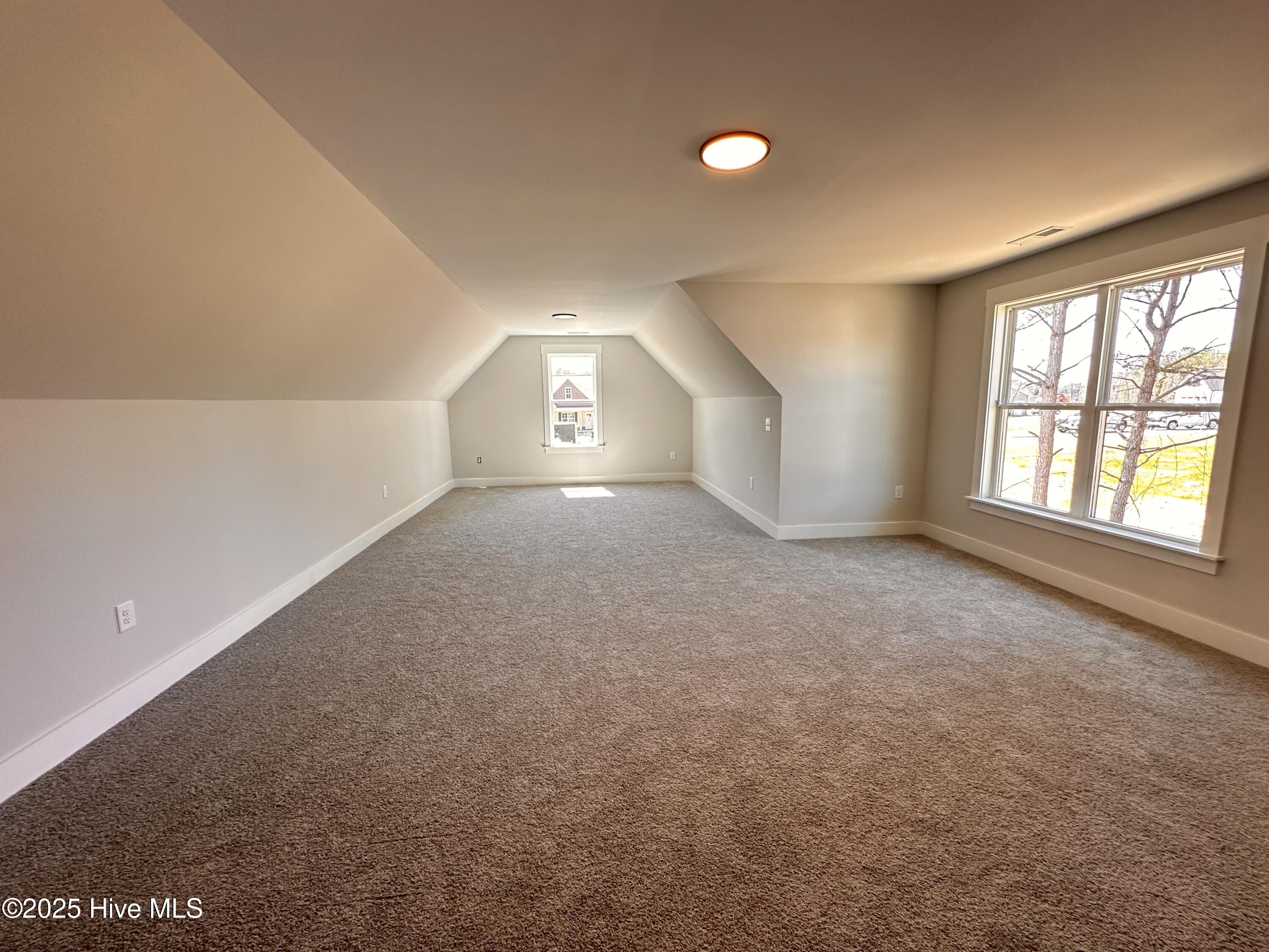 103 Roma Gora Court Property Photo 16