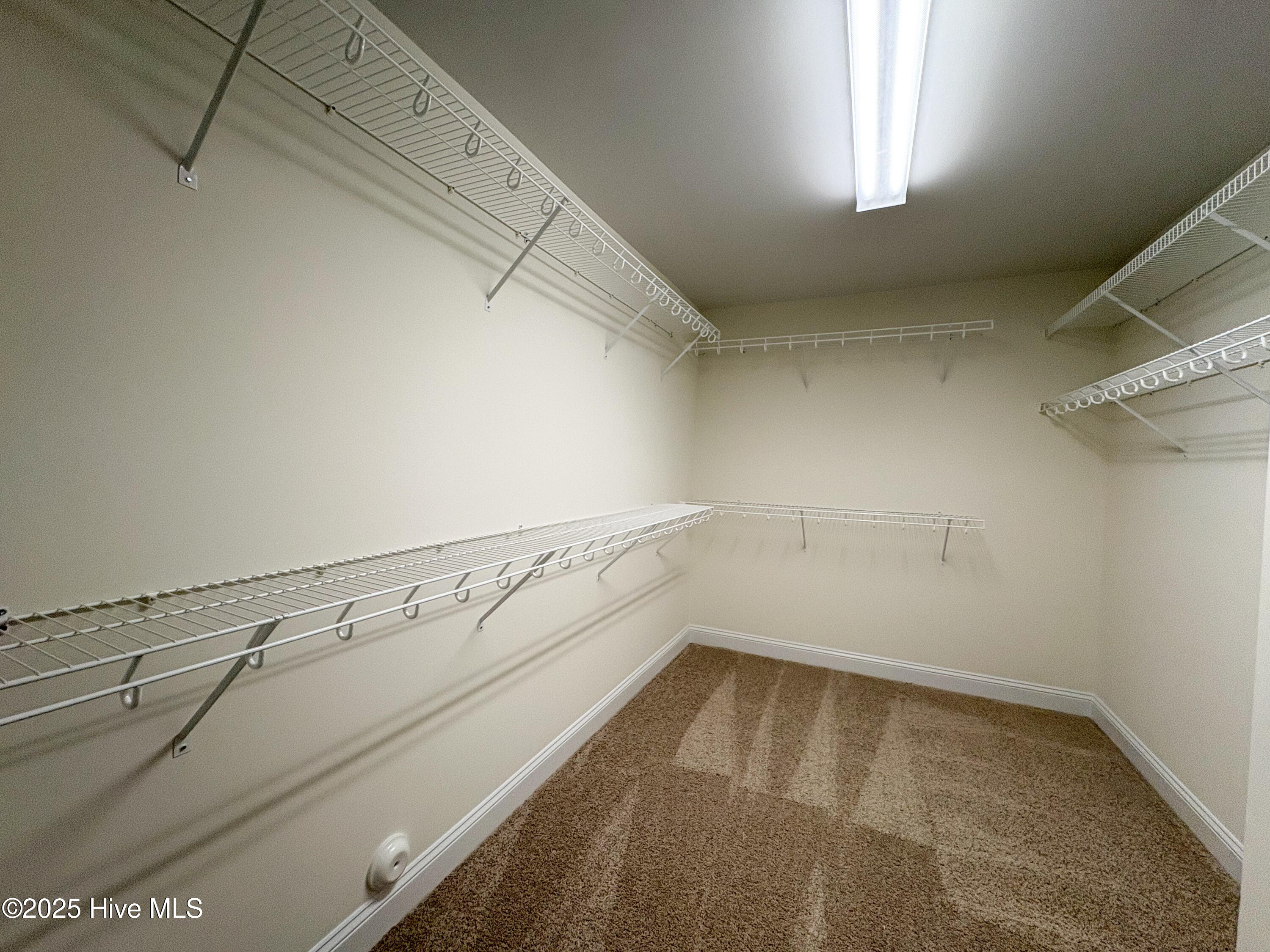 702 Ellabond Street Property Photo 8