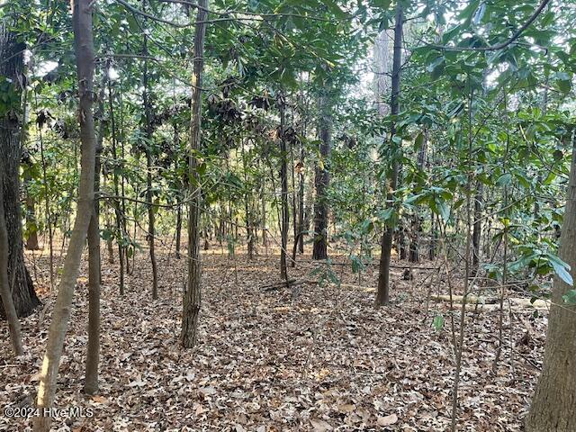 408 Lot 4 Property Photo 4