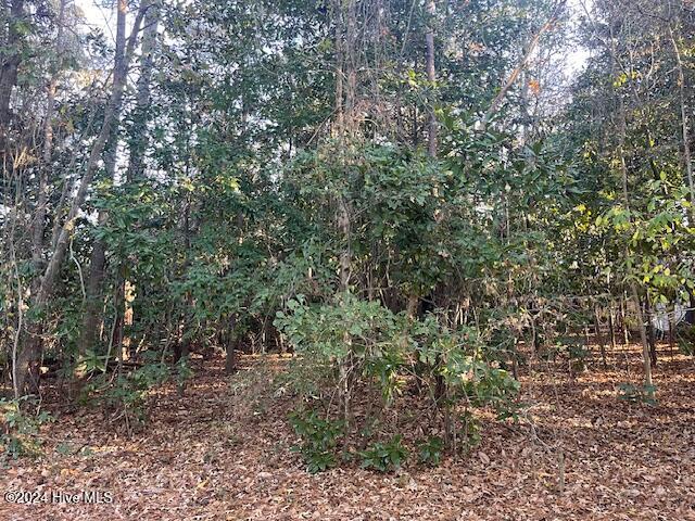 408 Lot 4 Property Photo 9