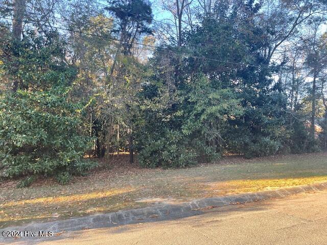 408 Lot 4 Property Photo 11