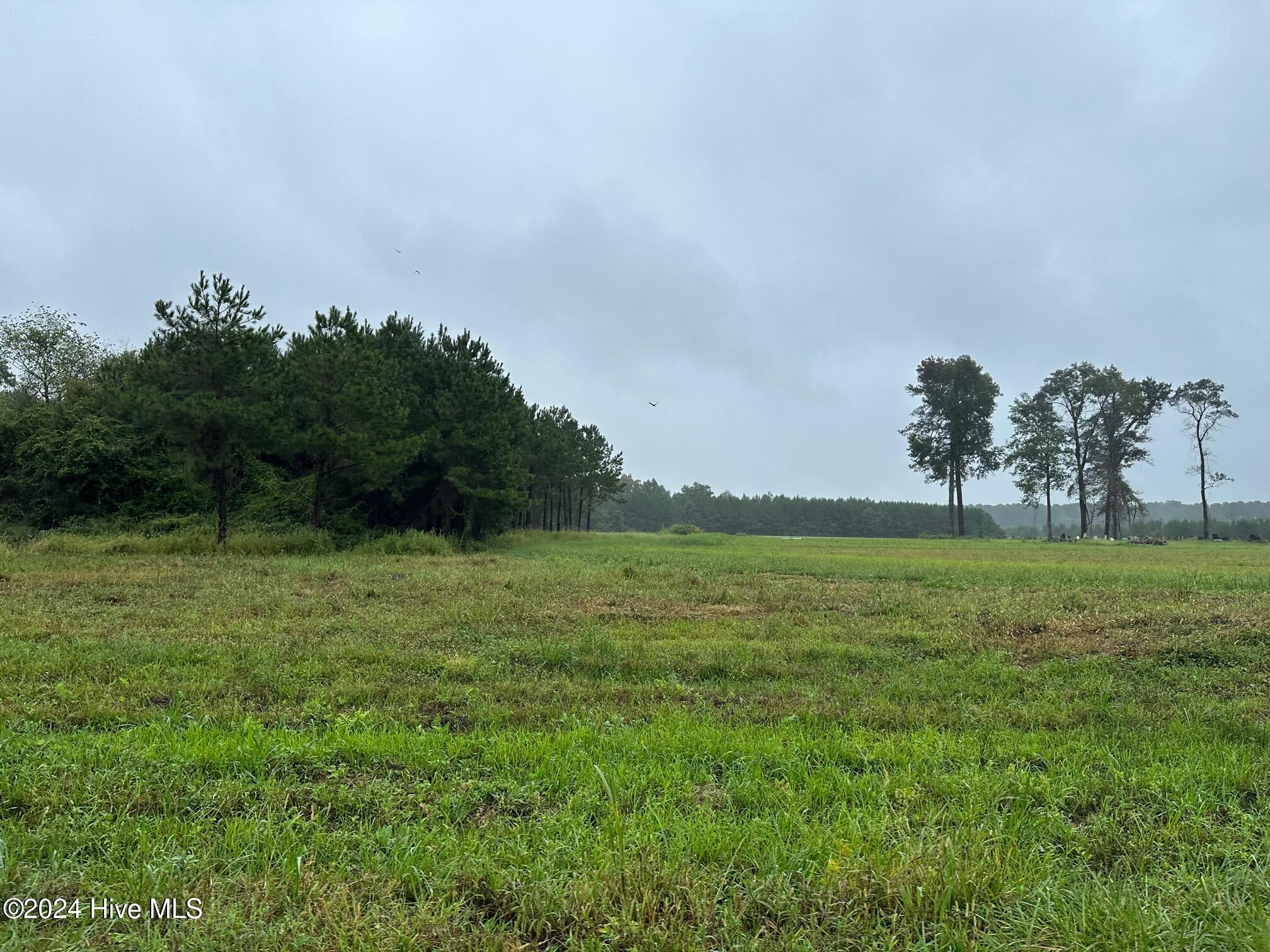 7026 Nc Highway 55 Property Photo 2