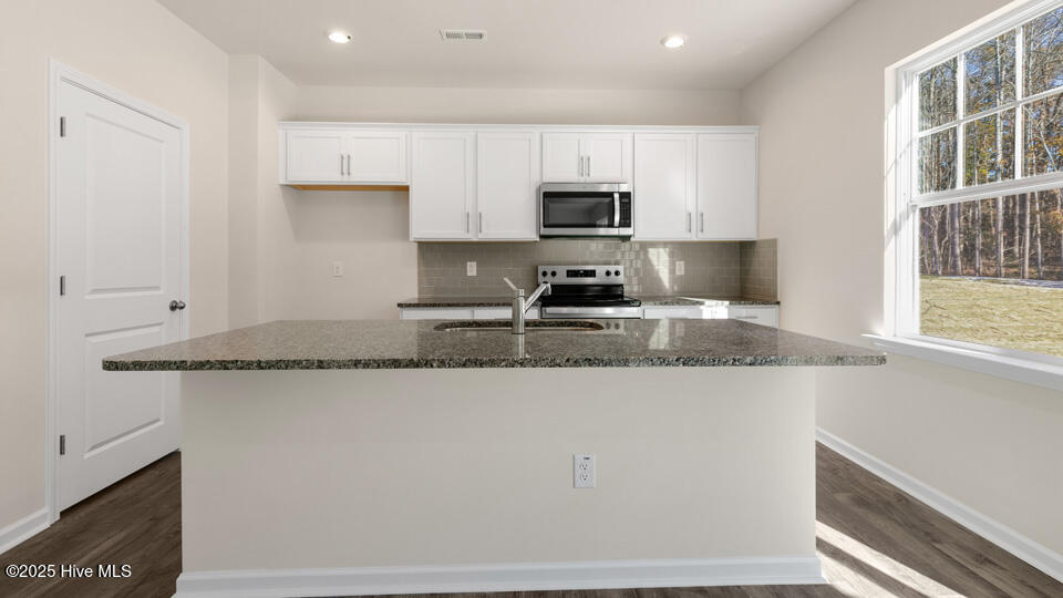 923 Misty Creek Drive Property Photo 6