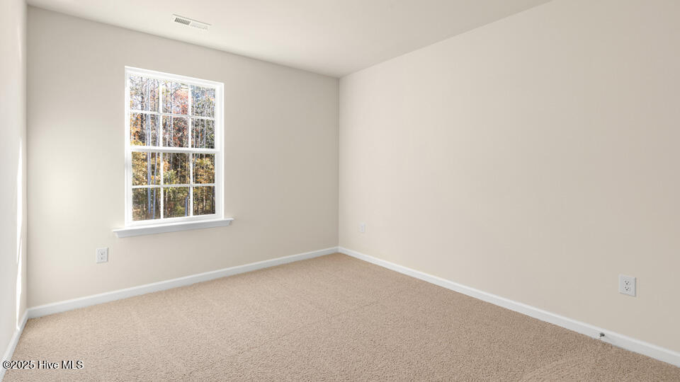 923 Misty Creek Drive Property Photo 24