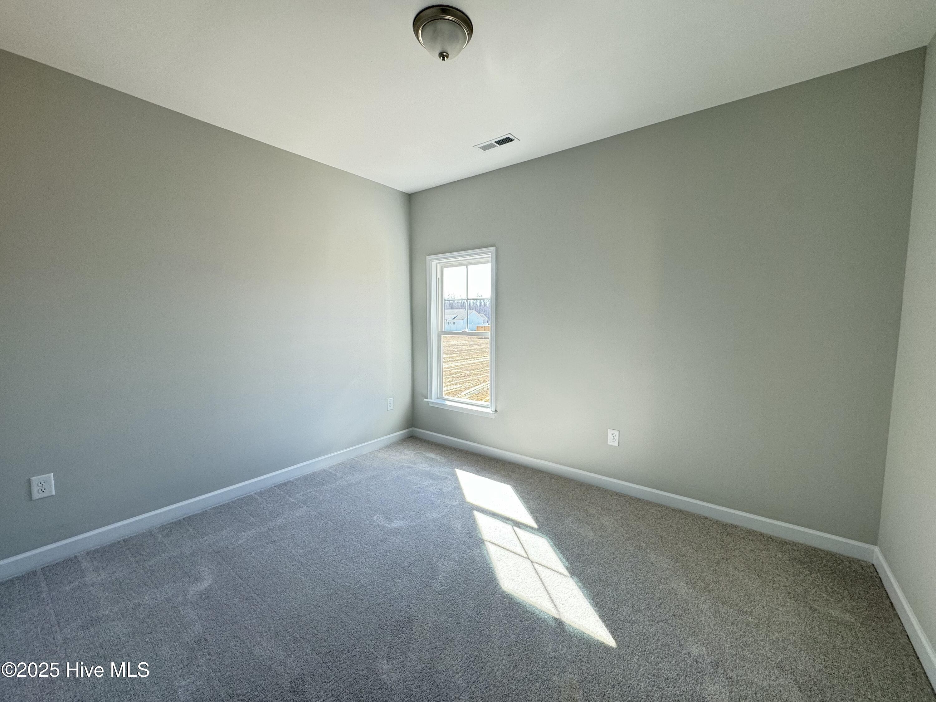 203 Dunbar Hill Drive Property Photo 13