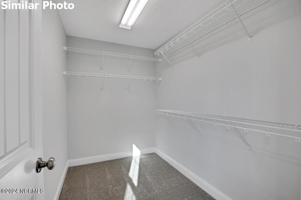 413 W Black Water Lane Property Photo 23