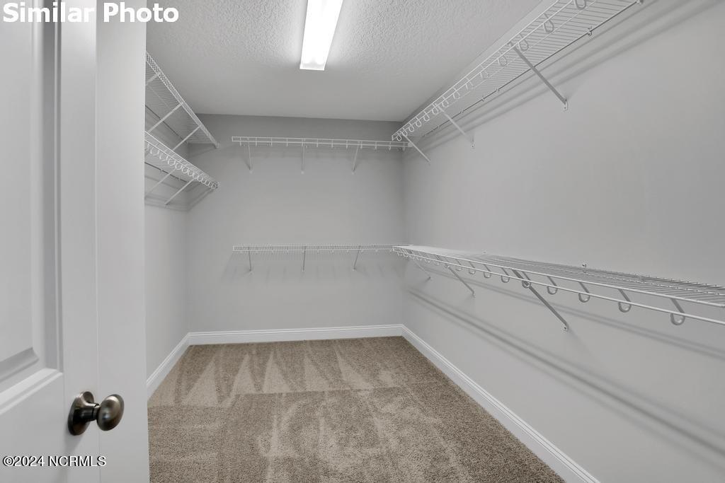 413 W Black Water Lane Property Photo 24