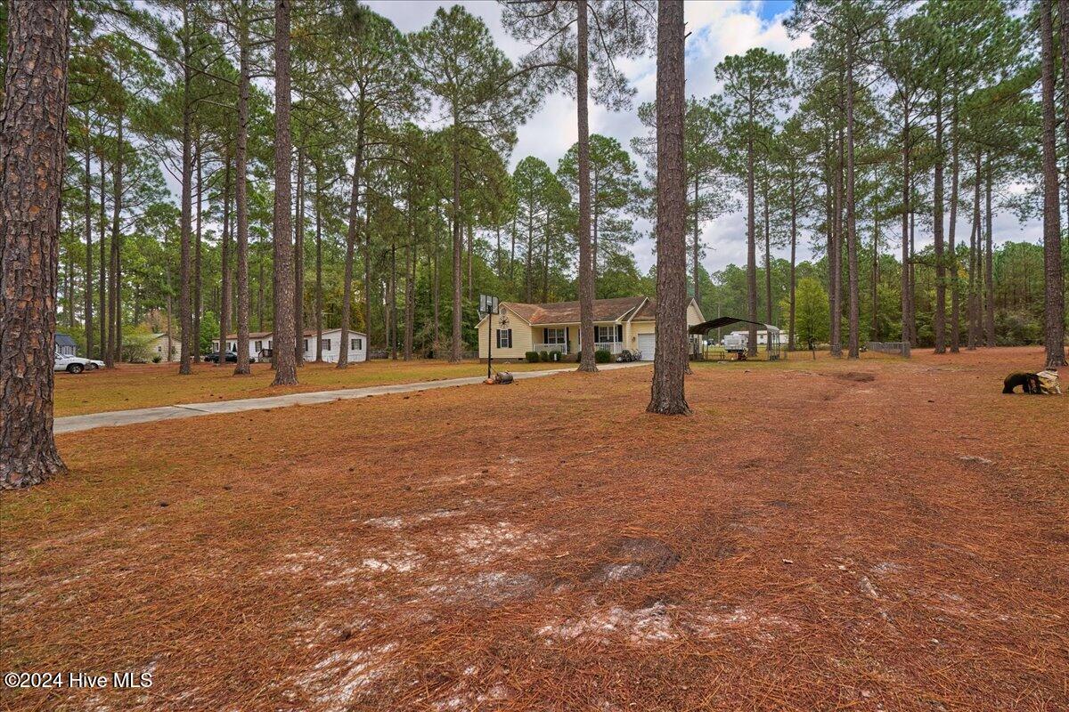 114 Starling Street Property Photo 7